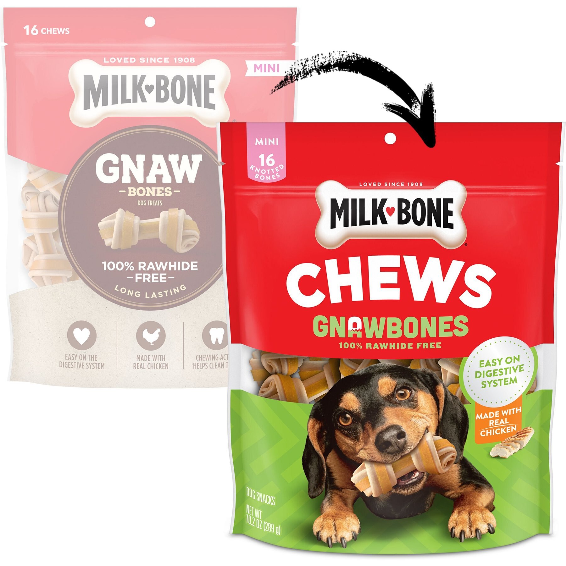 Milk-Bone Gnaw Bones Mini Chicken Flavored Bone Dog Treats