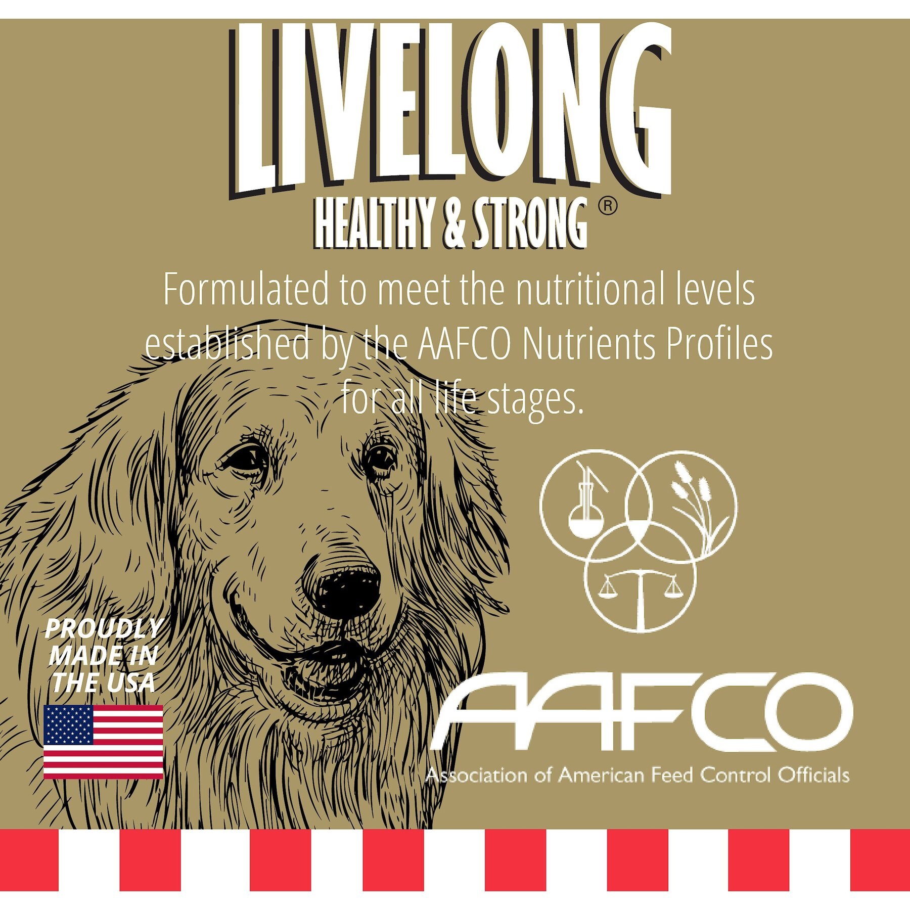 Livelong Healthy & Strong Chicken & Sweet Potato Recipe Wet Dog Food, 12.5-oz can, case of 12