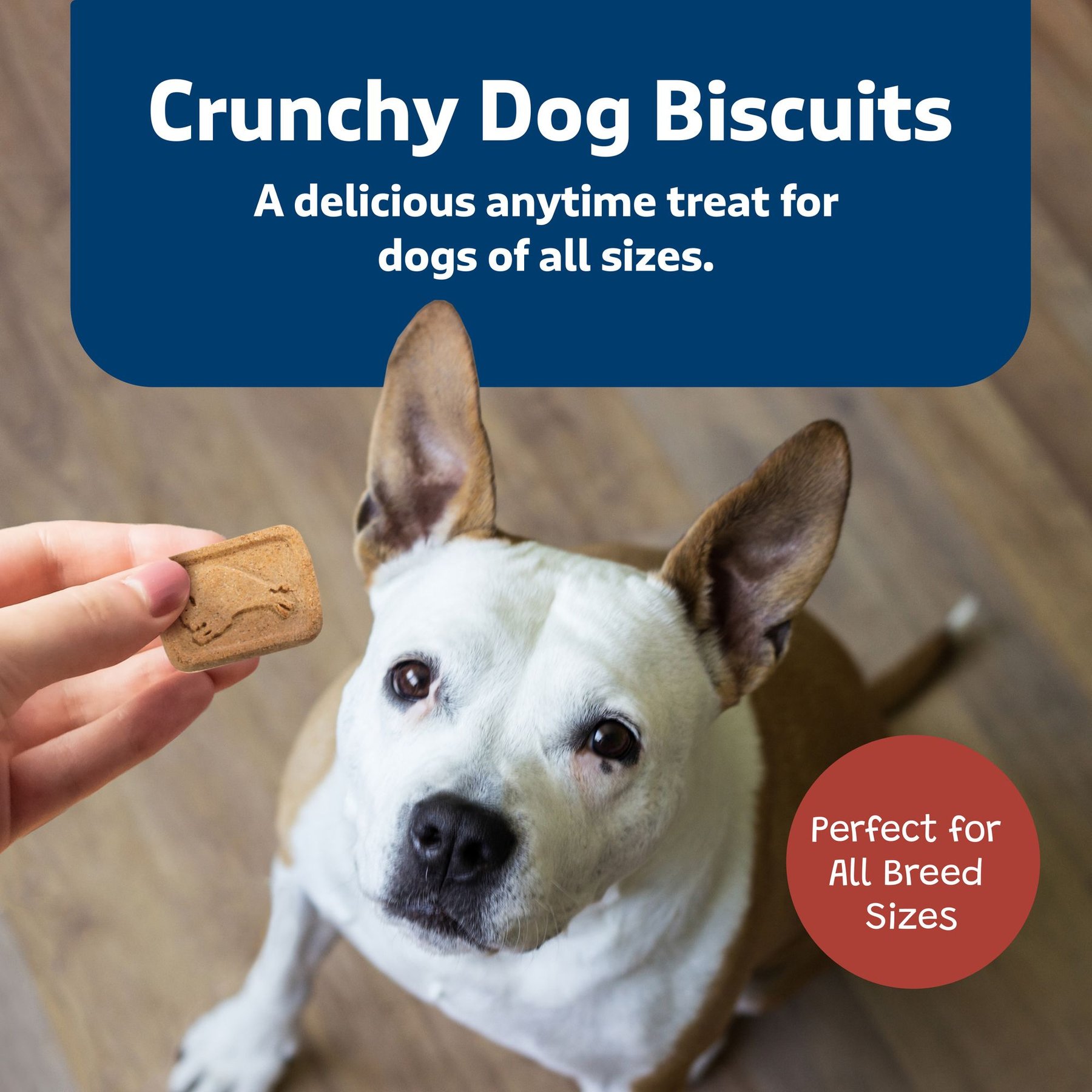 Blue Buffalo Health Bars Baked Beef Dog Treats