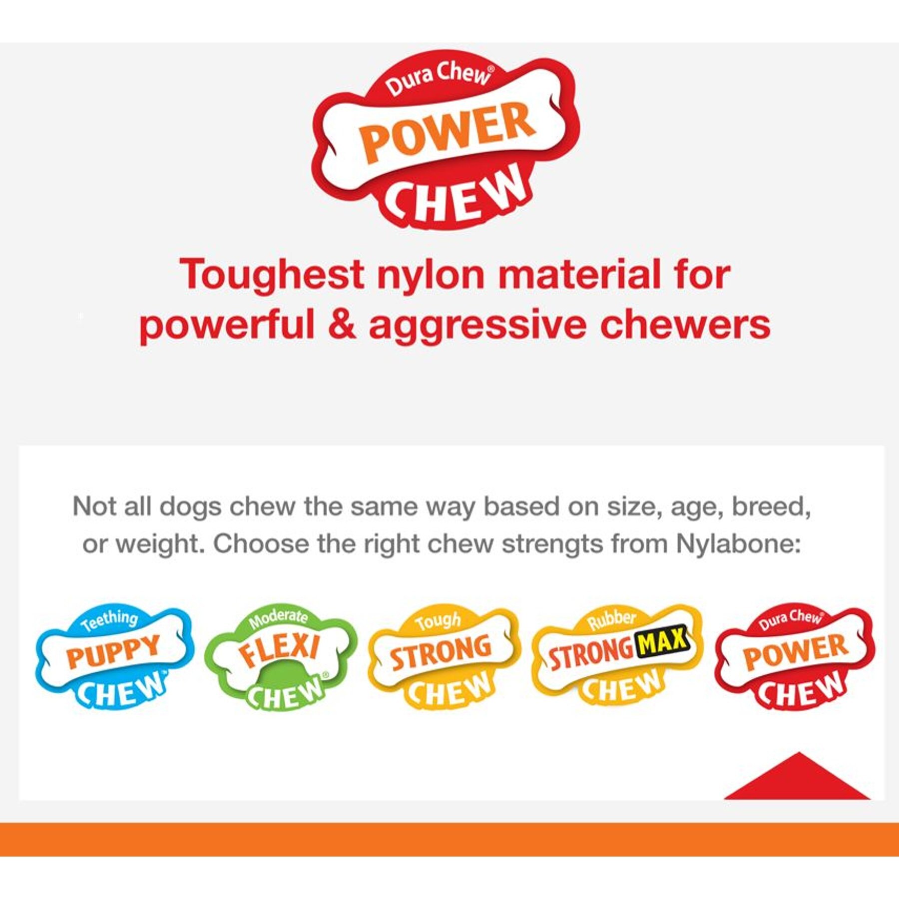 Nylabone Power Dental Chicken Flavored Dinosaur Dog Chew Toy, Character Varies