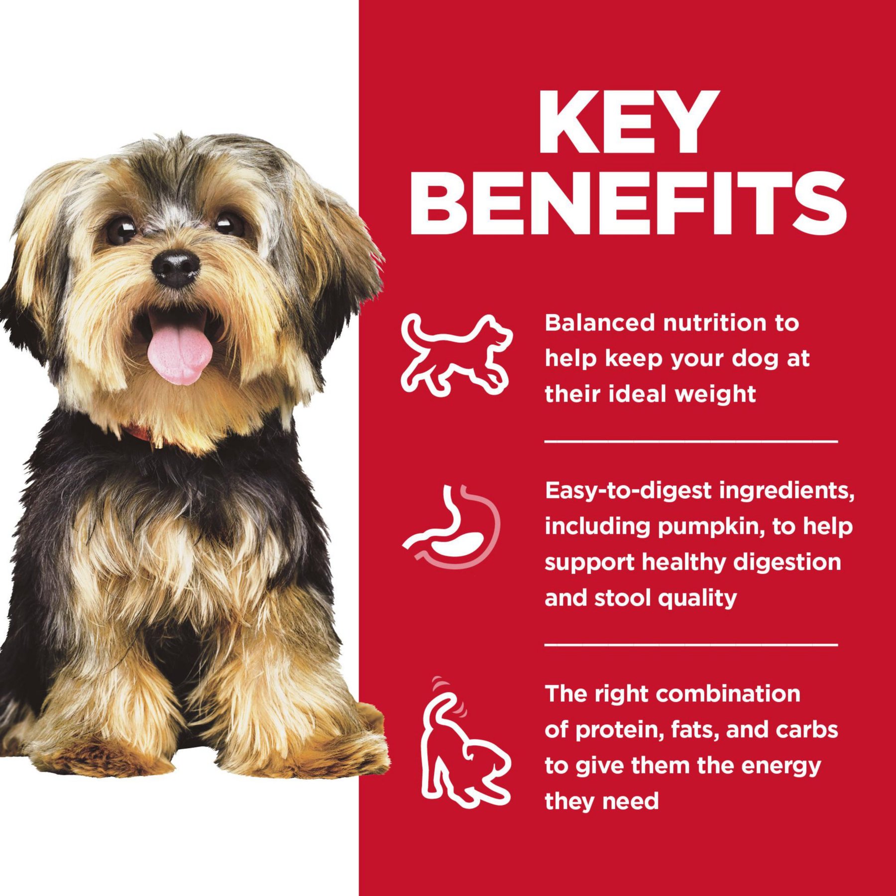 Hill's Science Diet Adult Small Breed & Mini Breed Savory Stew Chicken & Vegetable Wet Dog Food Trays