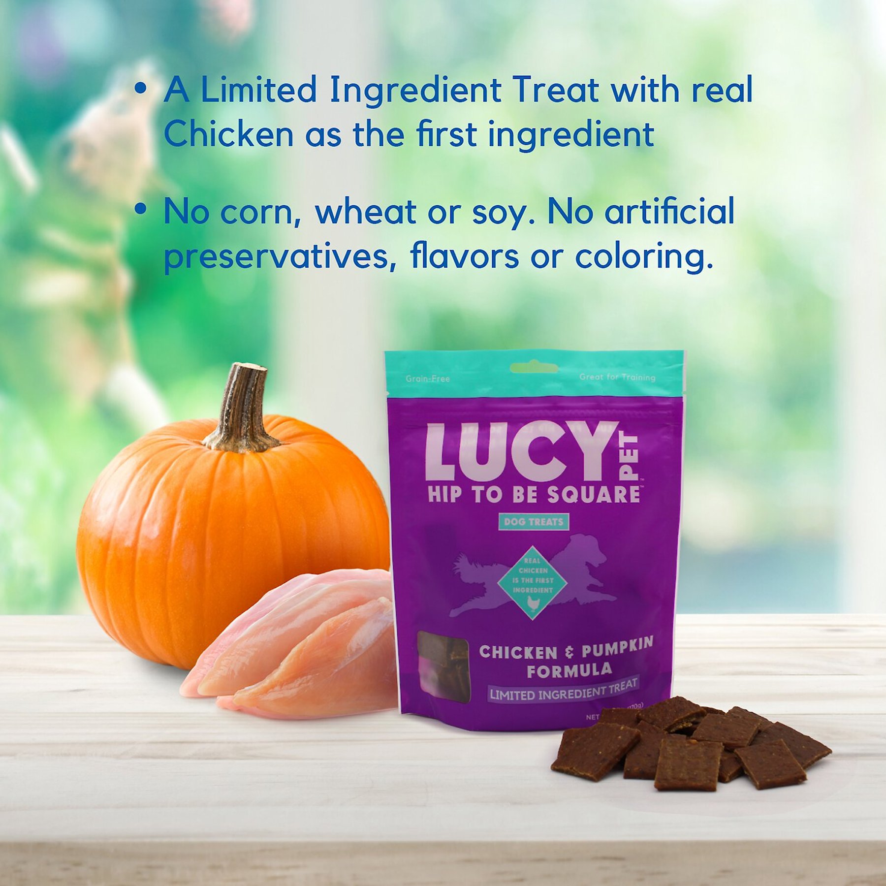 Lucy Pet Products Hip To Be Square Chicken & Pumpkin Formula Grain-Free Dog Treats
