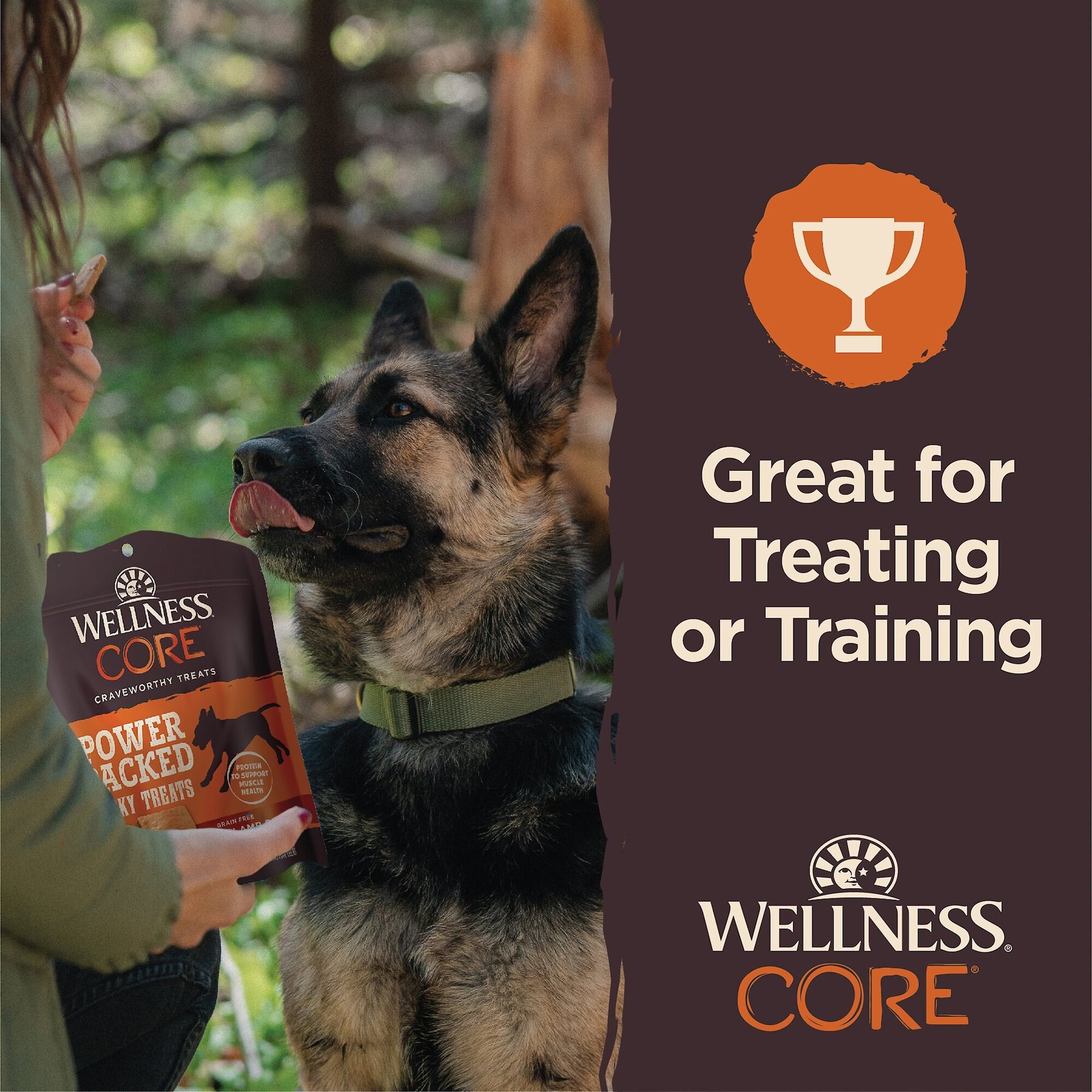 Wellness CORE Power Packed Chicken Grain-Free Jerky Dog Treats