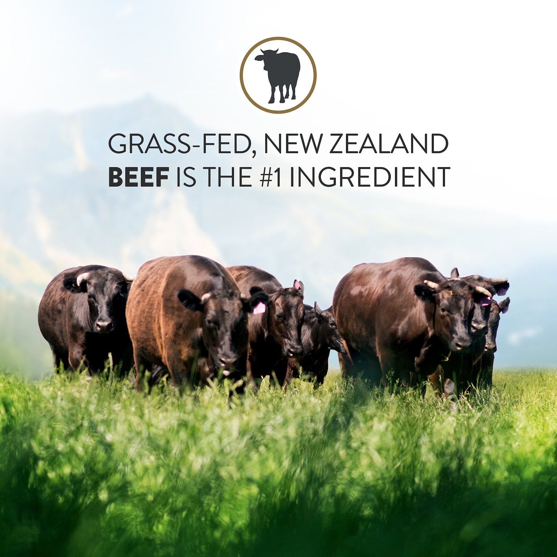 Addiction Meaty Bites Beef Grain-Free Dog Treats