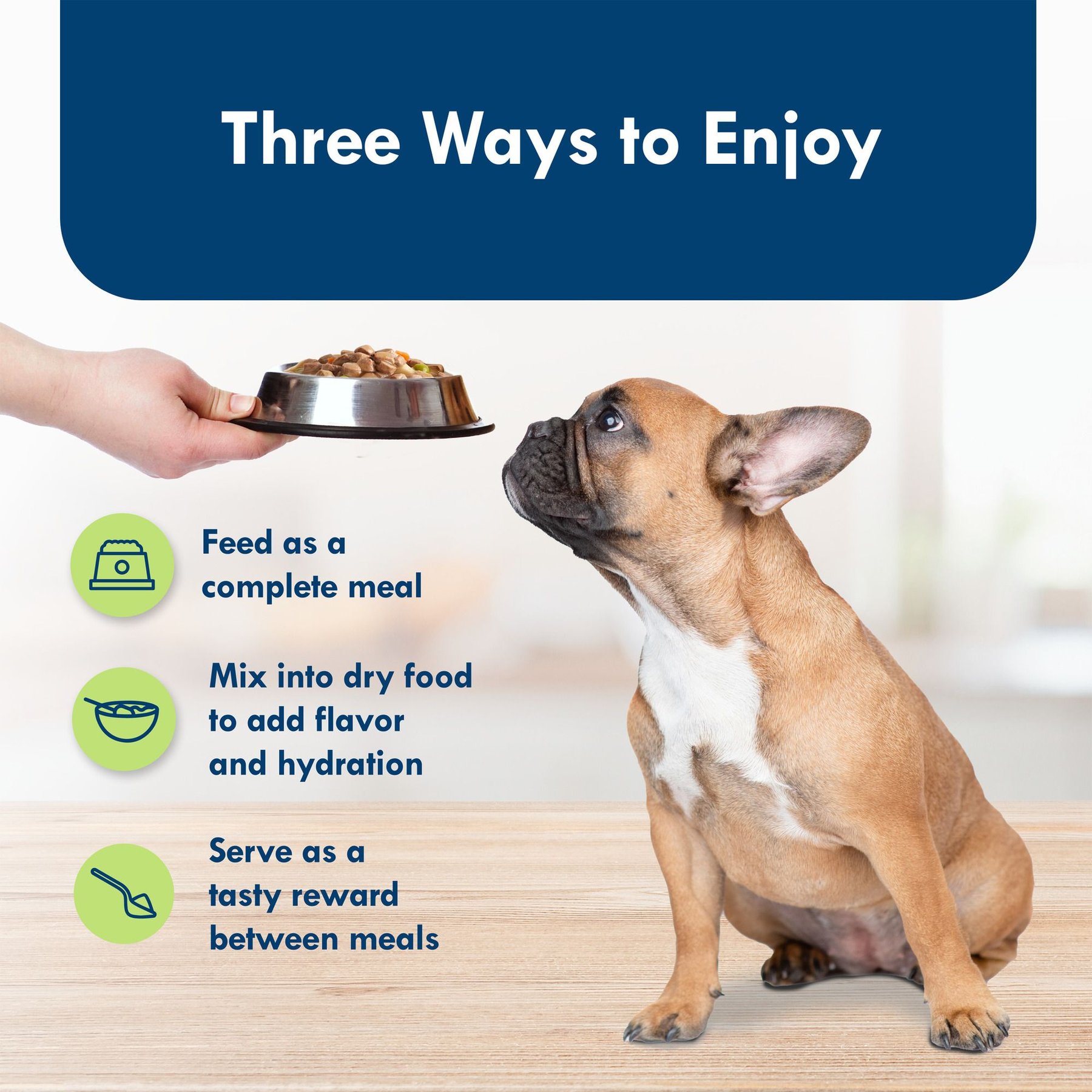 Blue Buffalo Divine Delights Filet Mignon Flavor Hearty Gravy Dog Food Trays