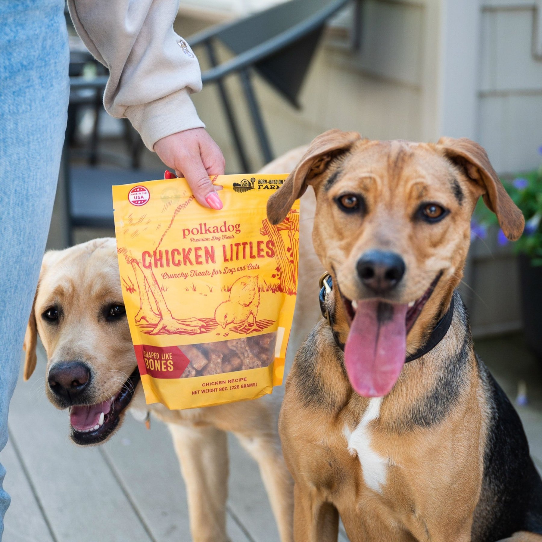 Polkadog Chicken Littles Bone Shaped Dehydrated Dog & Cat Treats, 7-oz bag