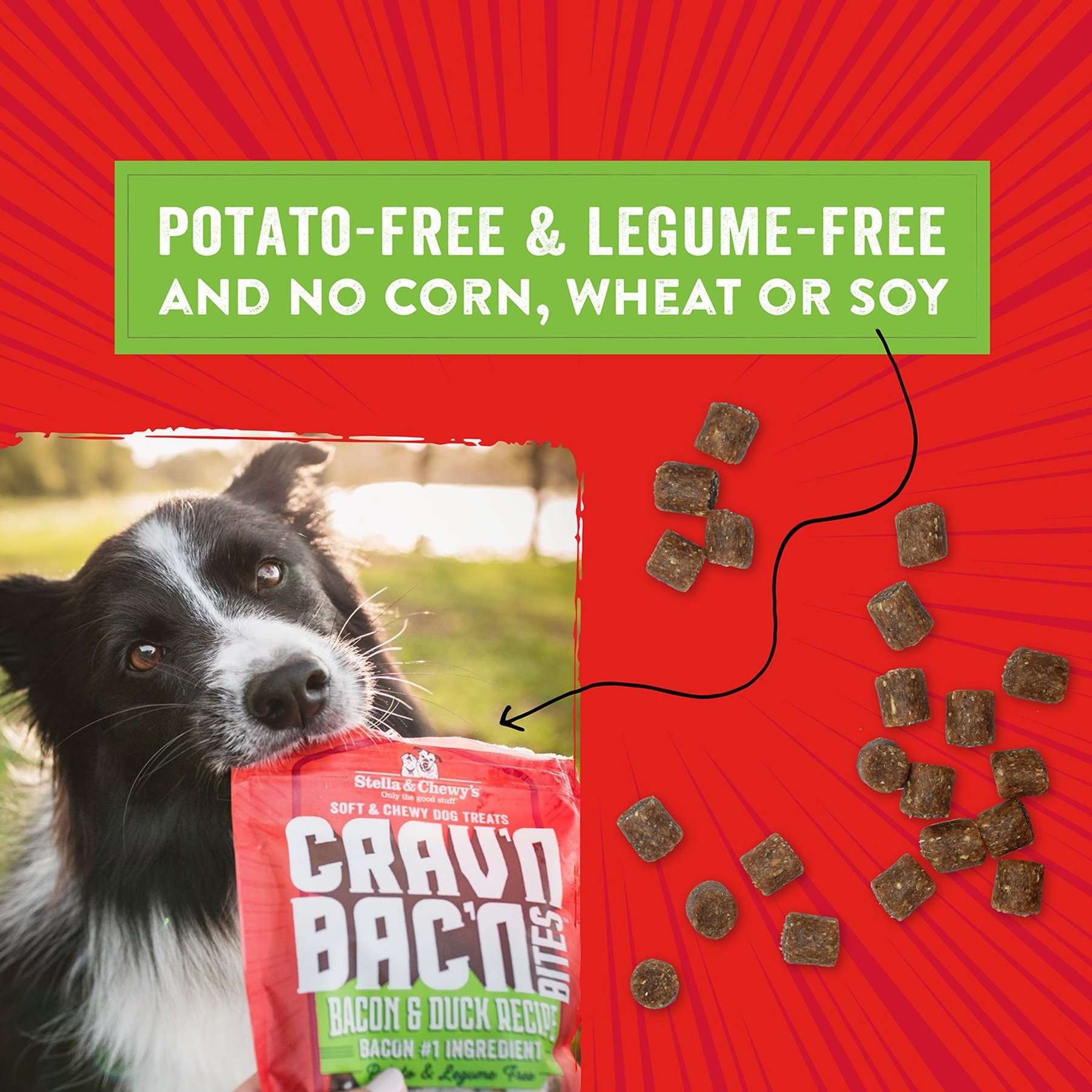 Stella & Chewy's Crav'n Bac'n Bites Bacon & Duck Recipe Dog Treats, 8.25-oz bag