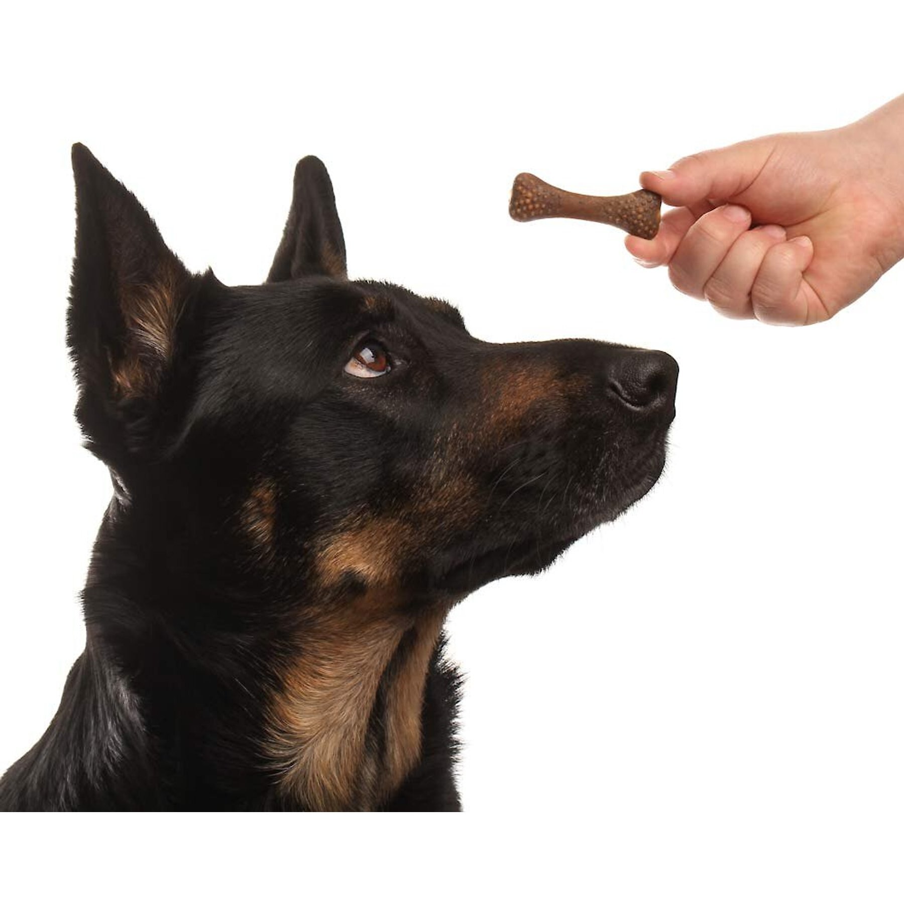 Arm & Hammer Products Nubbies Tartar Control Original Peanut Butter Flavor Dog Dental Chews