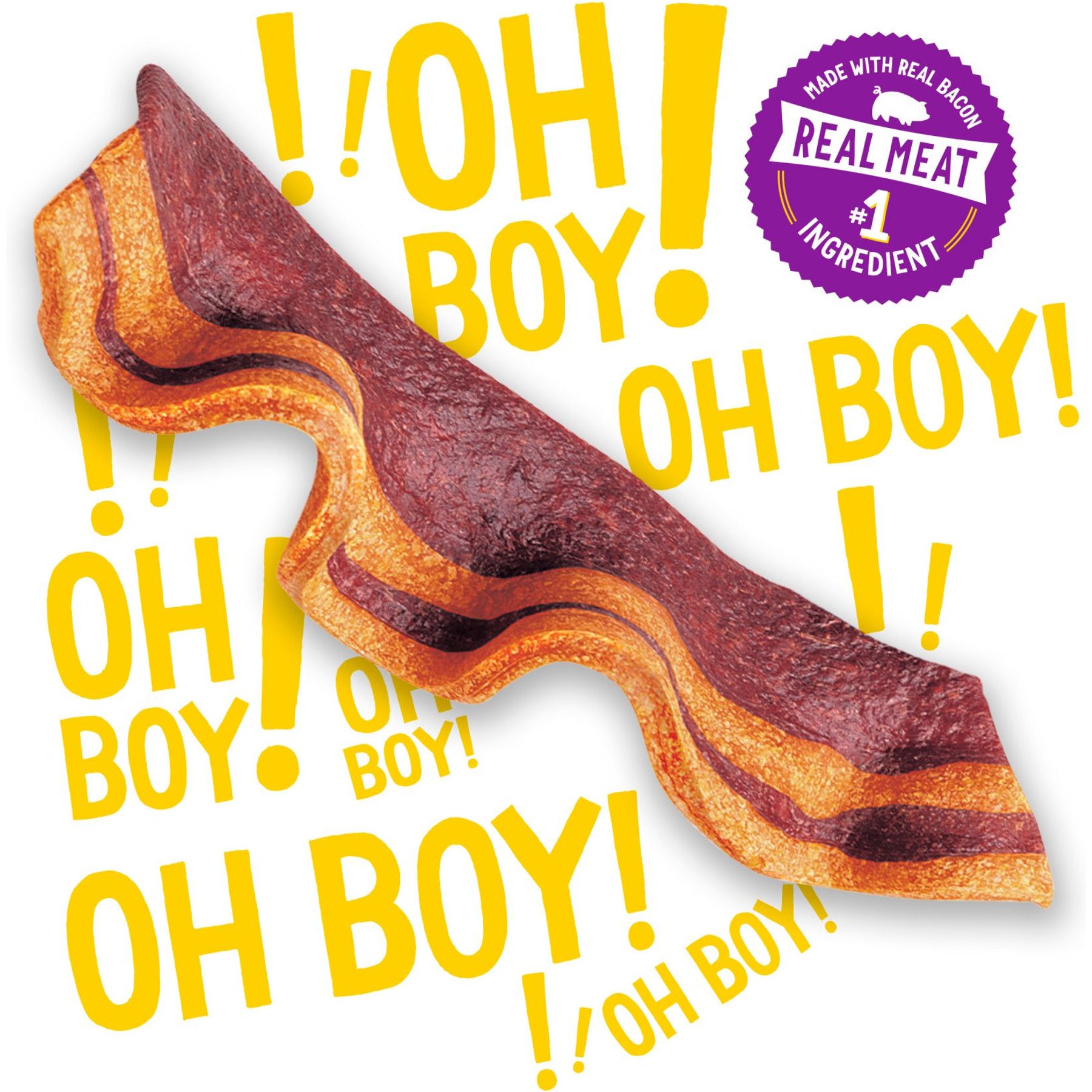 Purina Beggin' Strips Real Meat with Bacon & Cheese Flavored Training Dog Treats