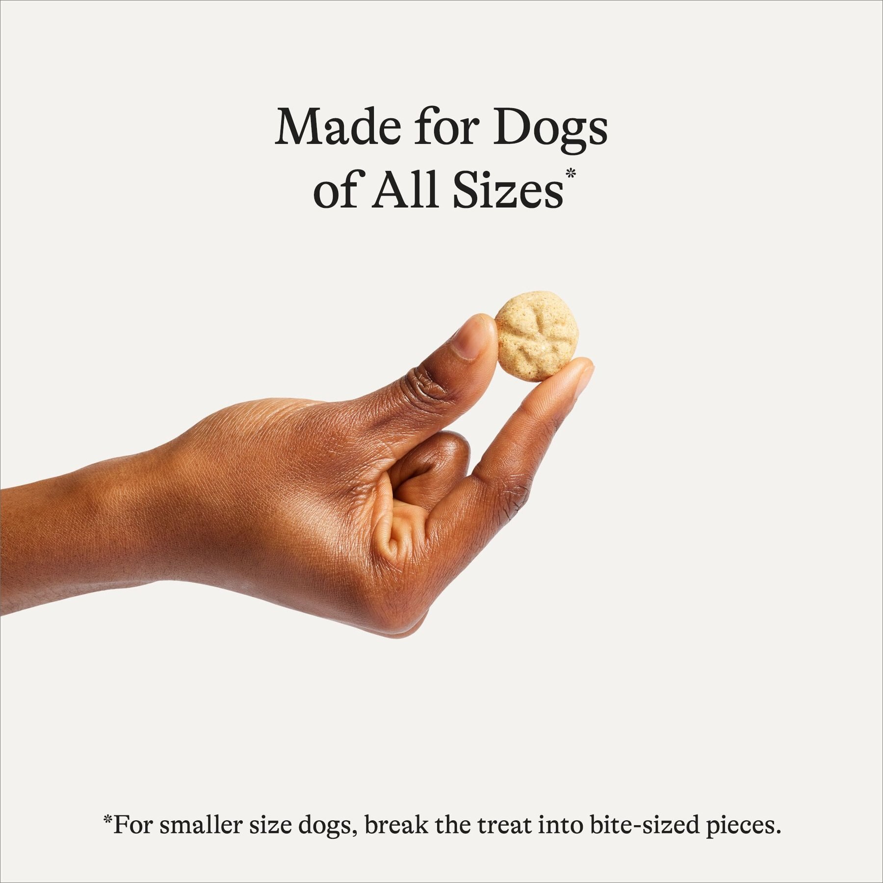 American Journey Apples & Cinnamon Flavor Grain-Free Oven Baked Crunchy Biscuit Dog Treats