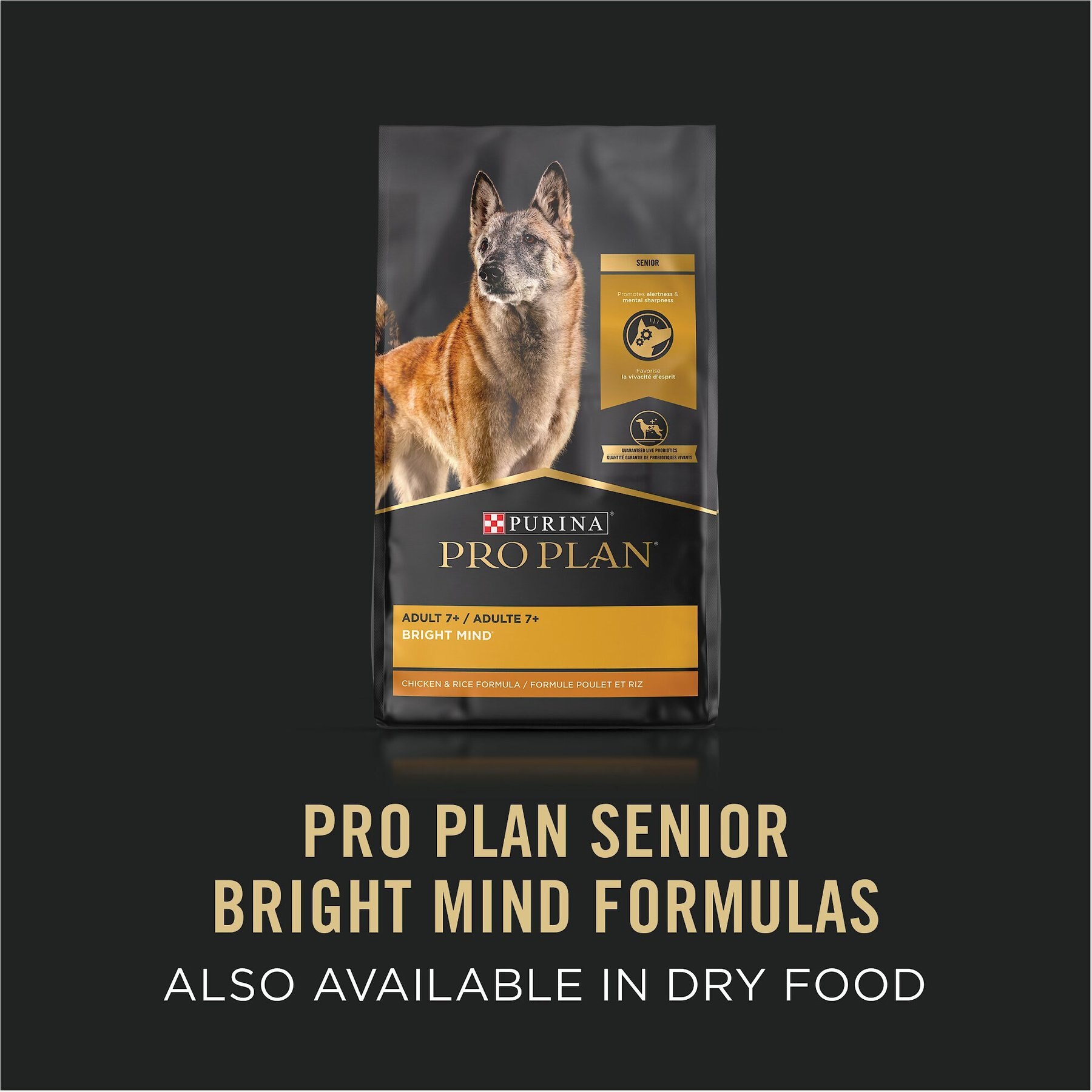 Purina Pro Plan Bright Mind Senior Adult 7+ Turkey & Brown Rice Entree Wet Dog Food