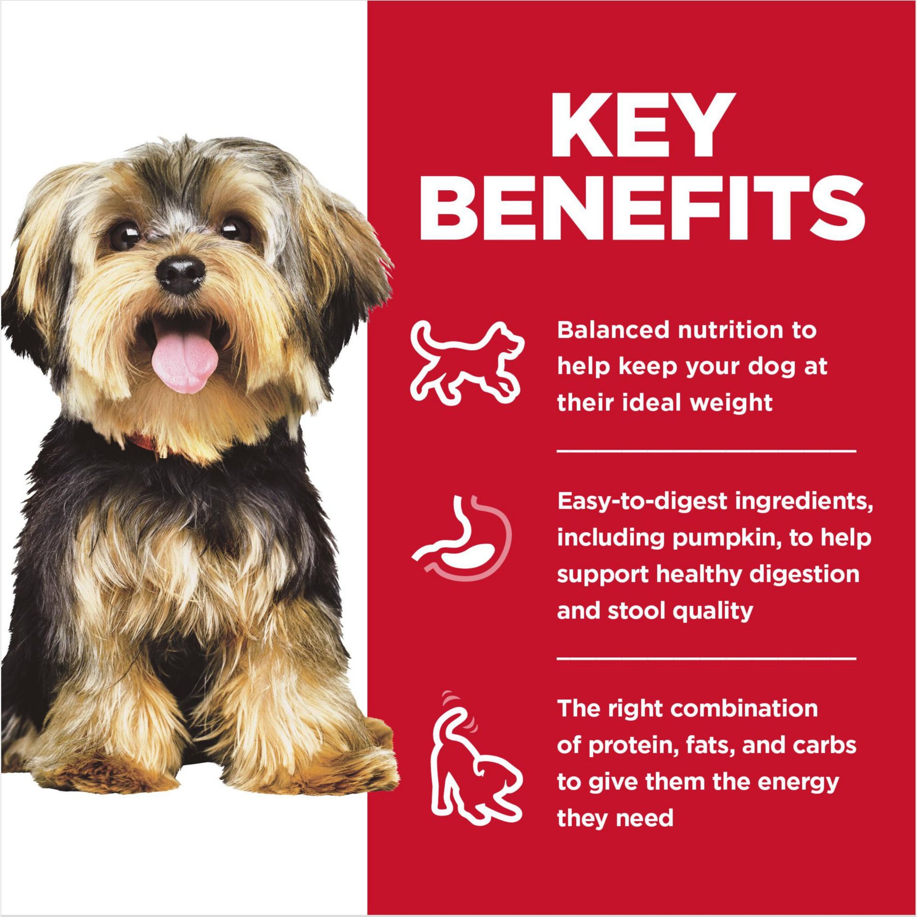 Hill's Science Diet Adult Small Breed & Mini Breed Savory Stew Beef & Vegetable Wet Dog Food Trays