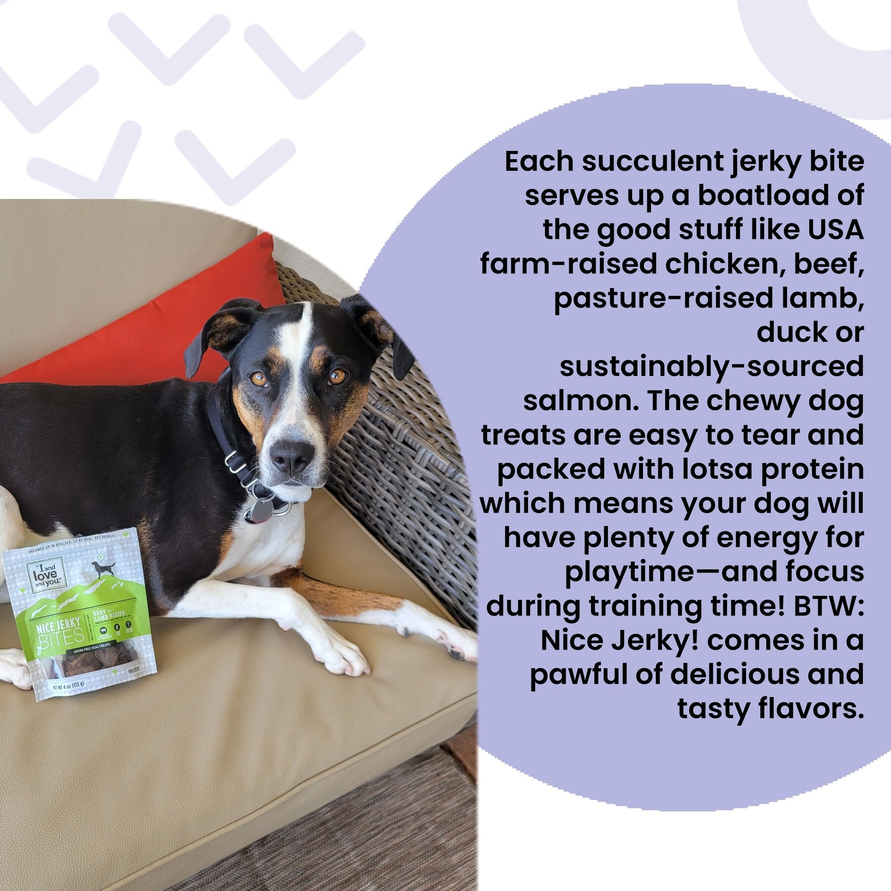 I and Love and You Nice Jerky Bites Beef and Lamb Grain-Free Dog Treats