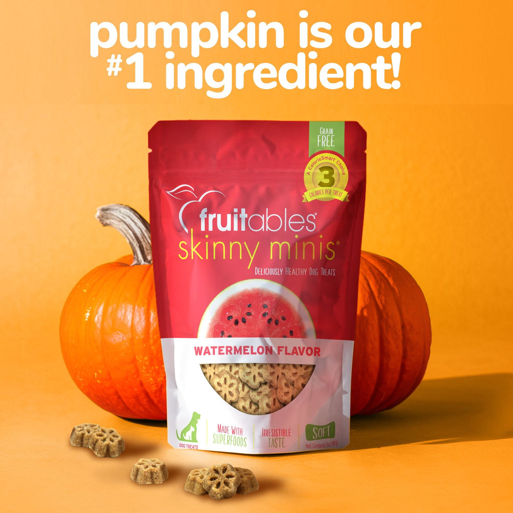 Fruitables Skinny Minis Watermelon Flavor Soft & Chewy Dog Treats