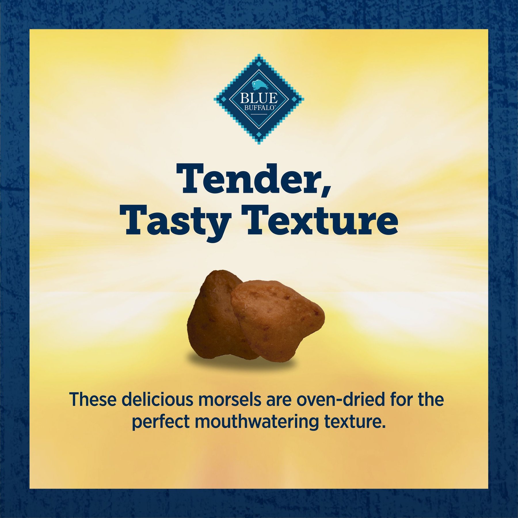 Blue Buffalo True Chews Premium Morsels Natural Grain-Free Steak Dog Treats