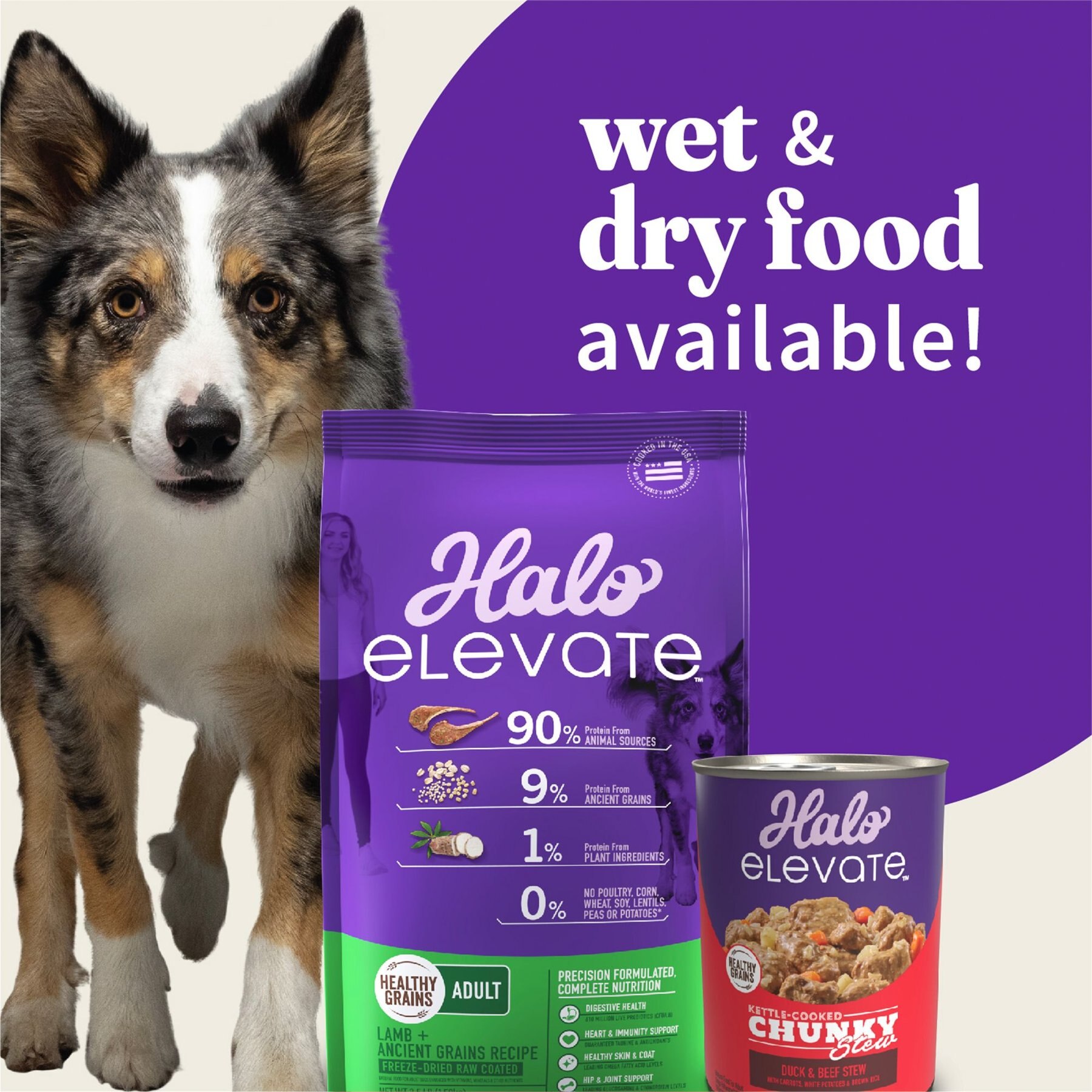 Halo Elevate Smoky BBQ Braised Duck & Beef Stew with White Potatoes, Carrots & Brown Rice Wet Dog Food, 12.7-oz can, case of 6
