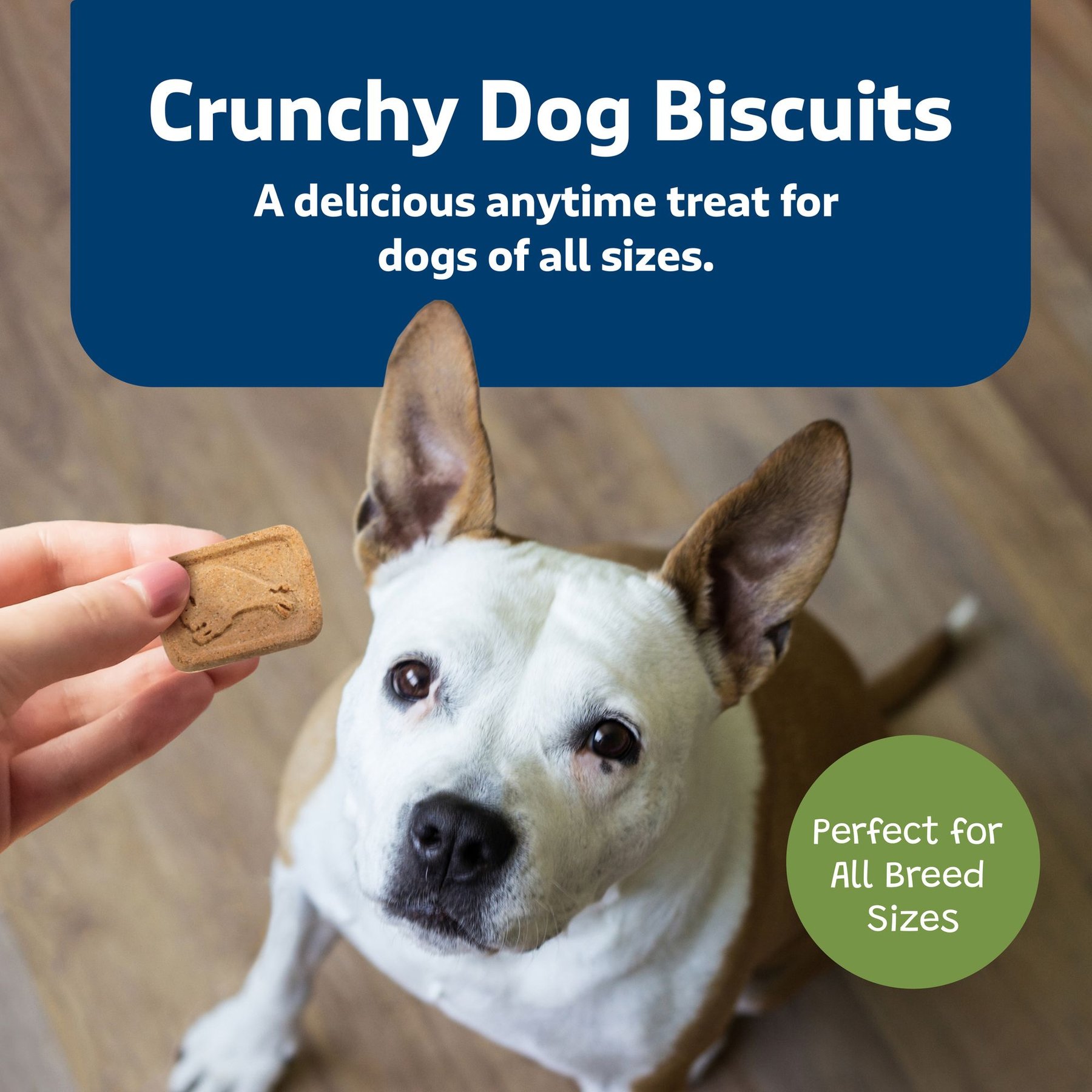 Blue Buffalo Health Bars Baked with Apples & Yogurt Dog Treats