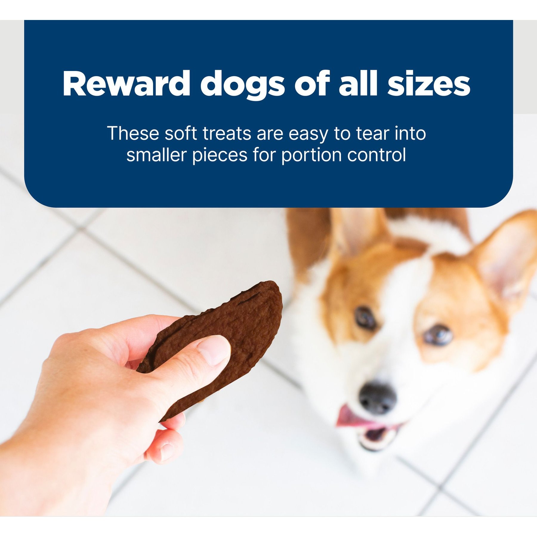 Blue Buffalo Nudges Jerky Cuts Beef Dog Treats