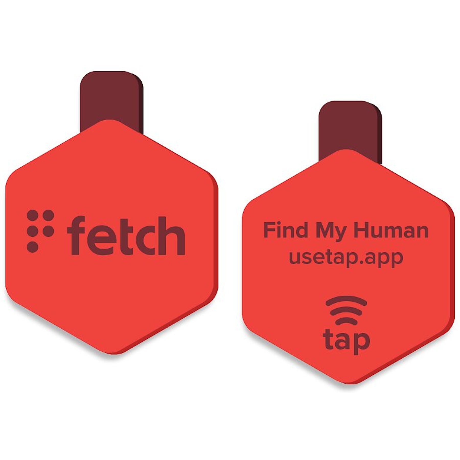 Lifekey Digital Dog ID Tag