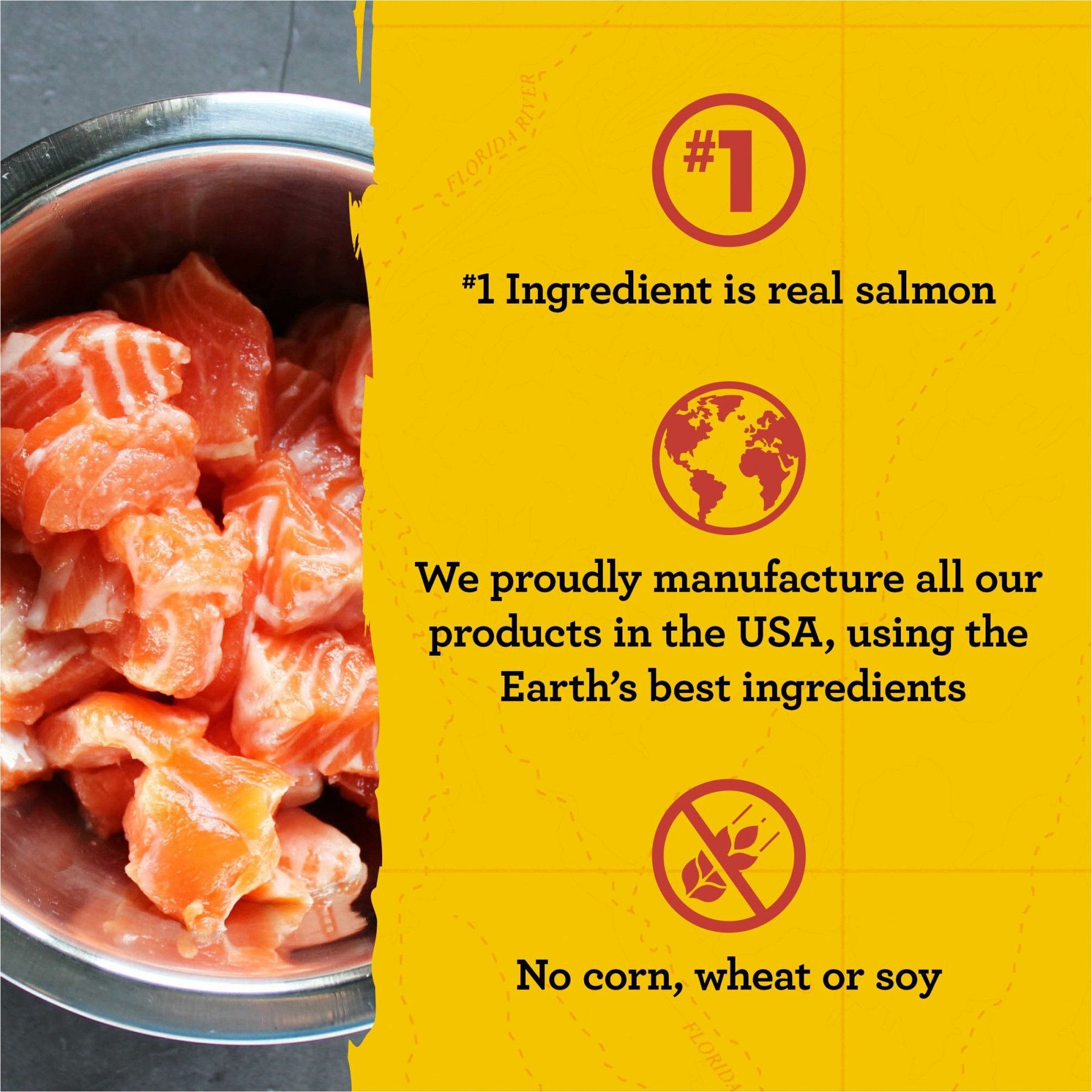 Zuke's Mini Naturals Salmon Recipe Training Dog Treats