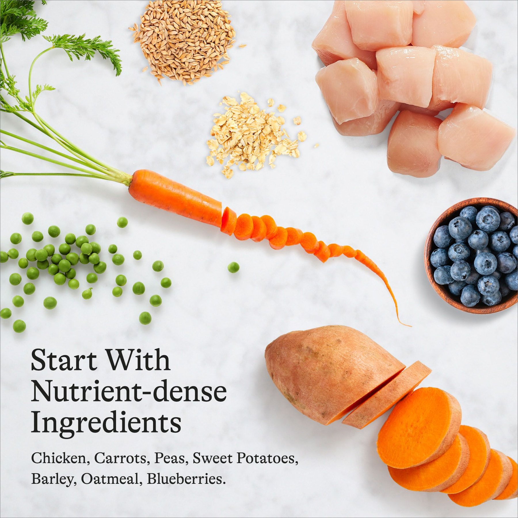 American Journey Chicken & Vegetables Recipe Canned Dog Food