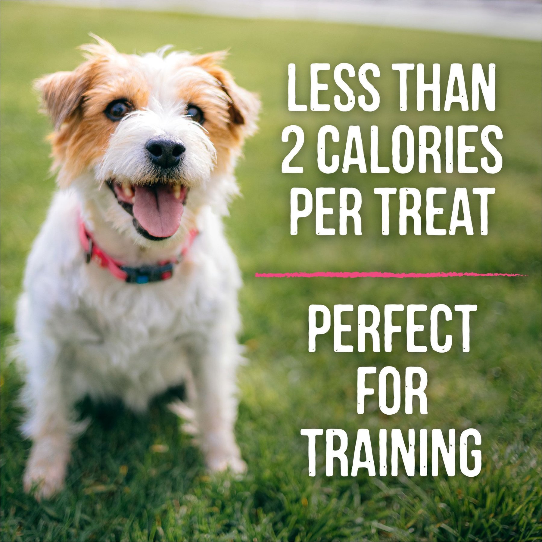 Merrick Lil' Plates Bitty Beef Recipe Grain-Free Dog Treats