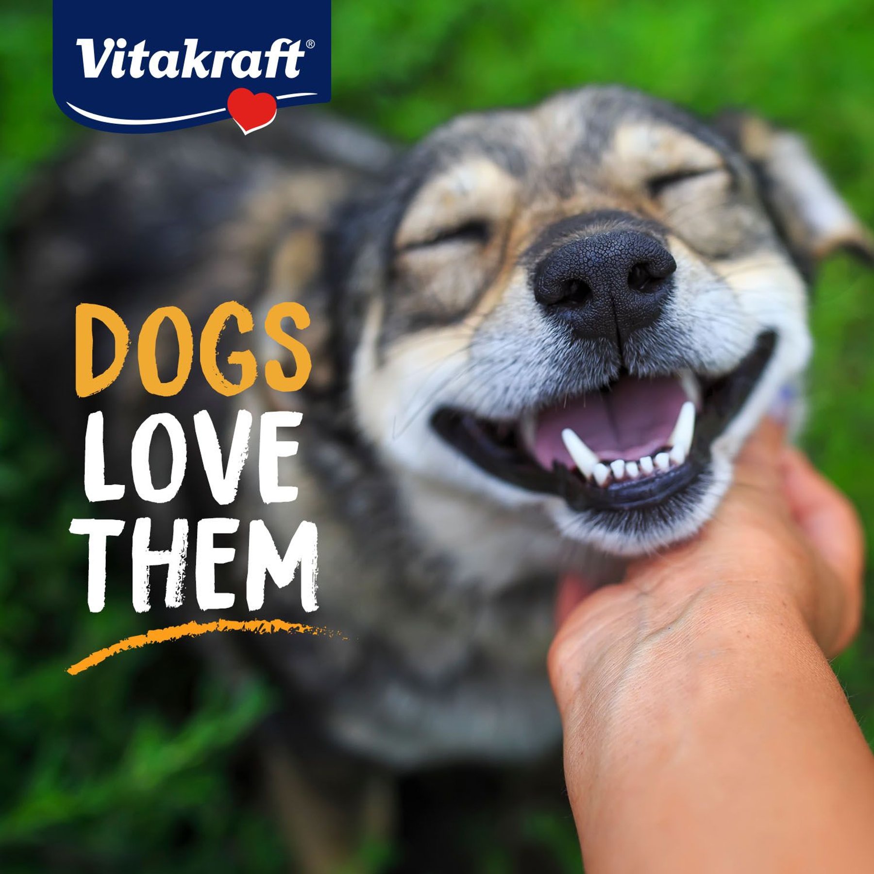 Vitakraft Meaty Morsels Chicken Recipe with Potato Soft & Chewy Dog Treats, 4.2-oz bag, 3 count