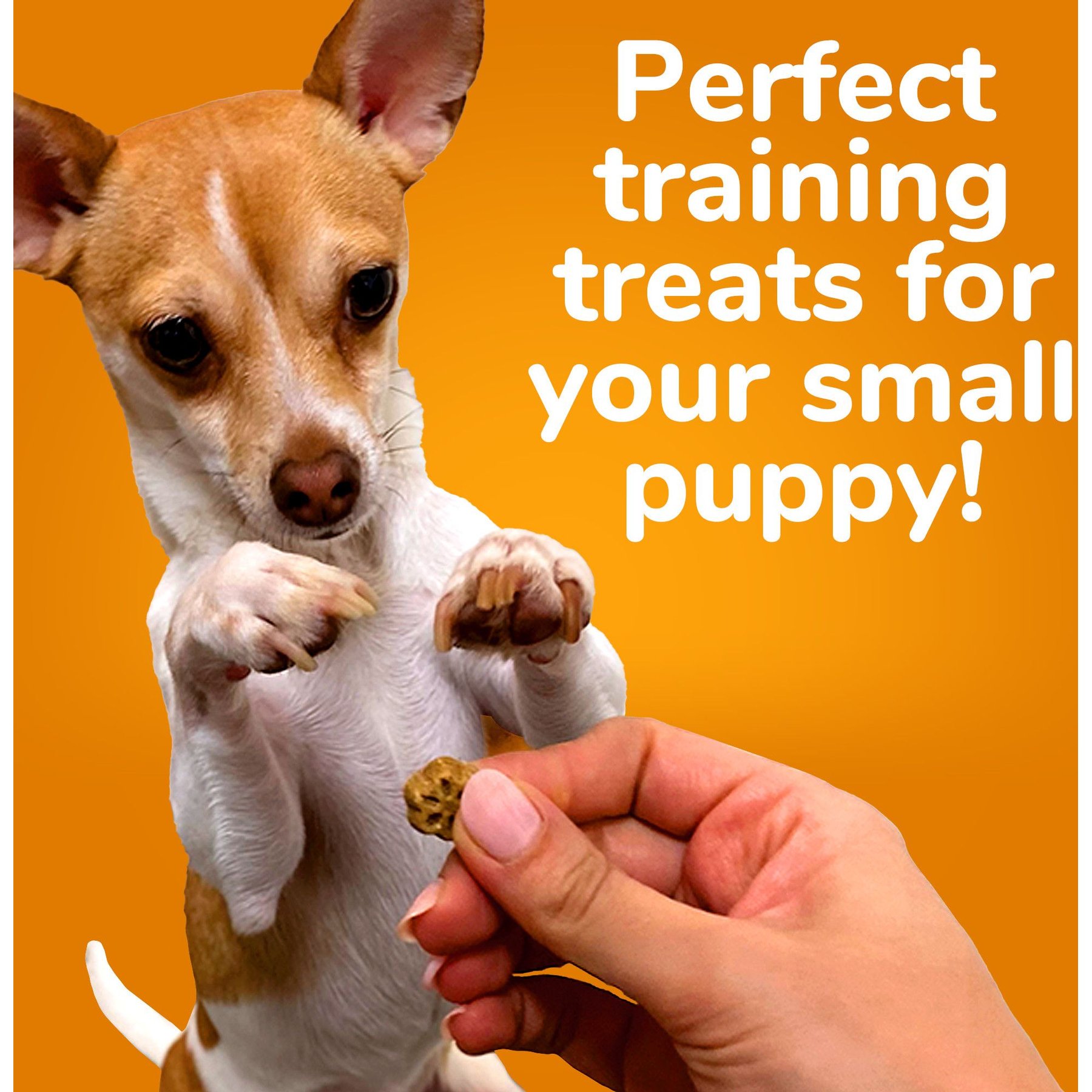 Fruitables Skinny Minis Pumpkin & Berry Flavor Dog Treats