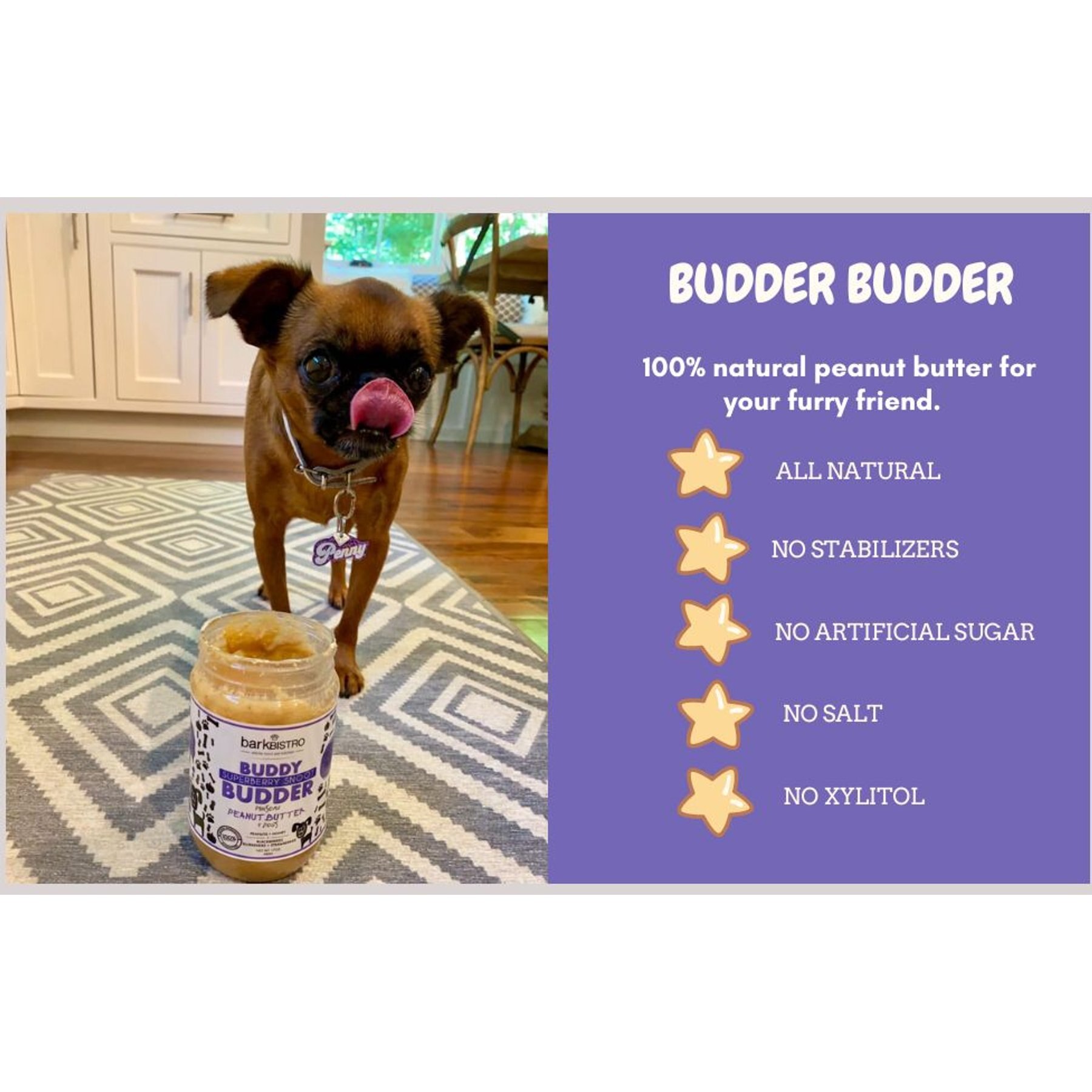 Bark Bistro Company Buddy Budder Superberry Snoot Peanut Butter Lickable Dog Treat, 17-oz jar