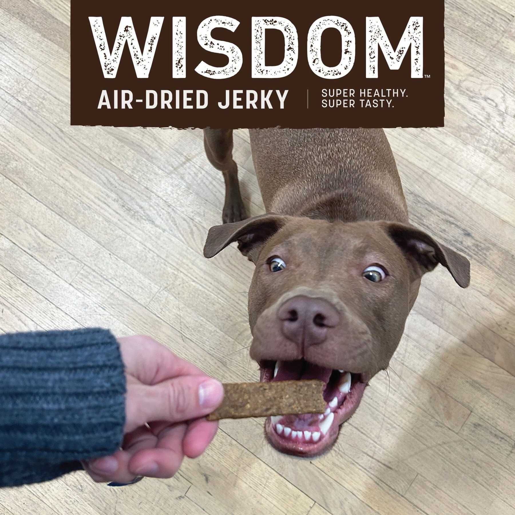 Earth Animal Wisdom Air-Dried Turkey Recipe Premium Natural Jerky Strips Dog Treats, 4-oz bag