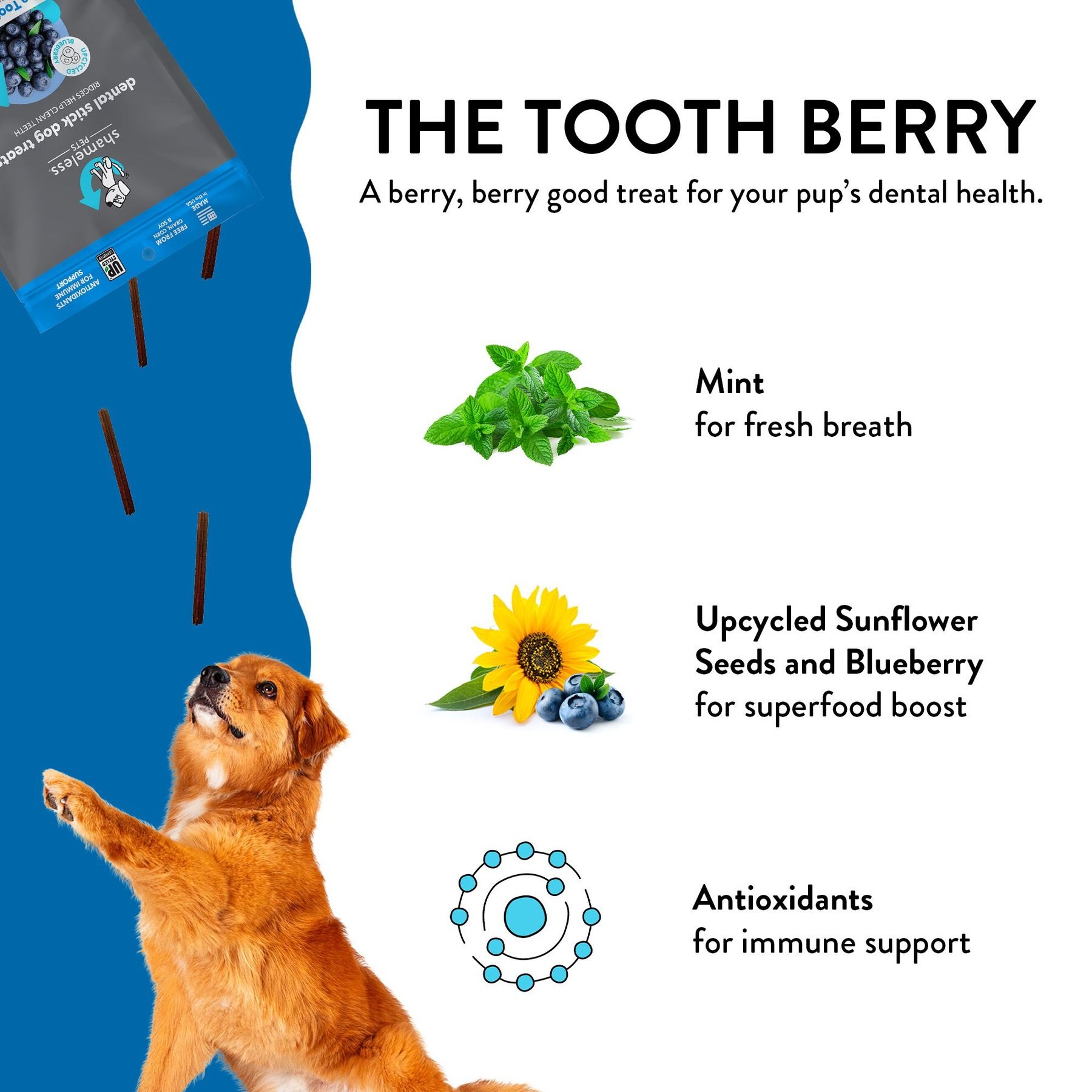 Shameless Pets The Tooth Berry Blueberry & Mint Flavor Dental Dog Treats