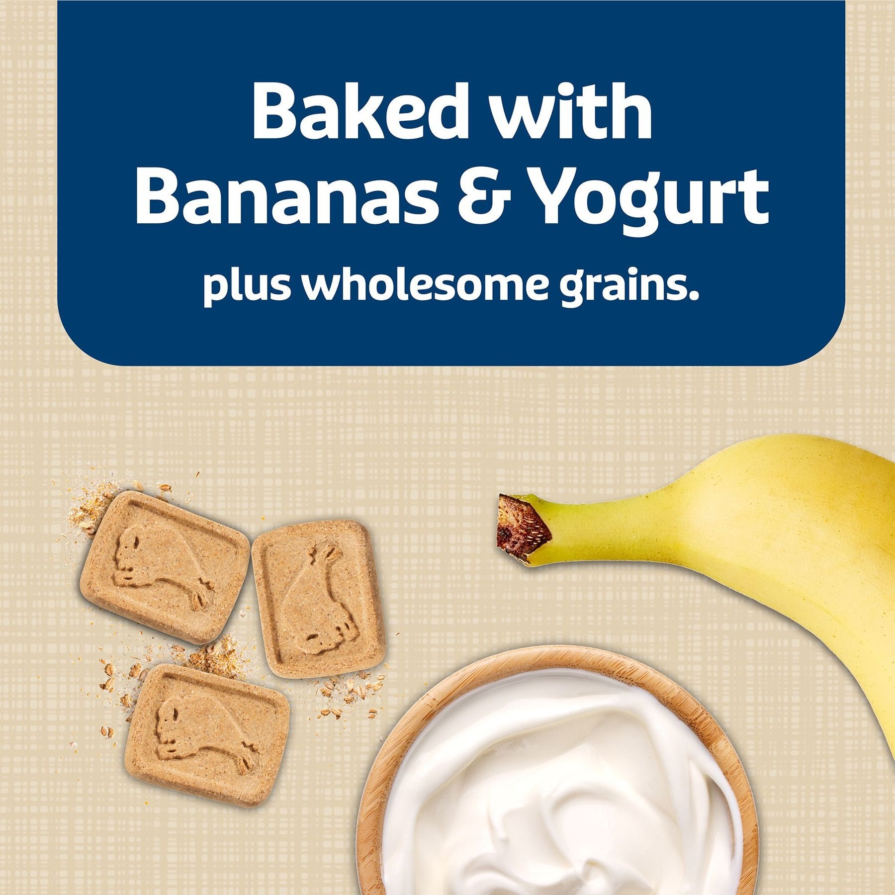 Blue Buffalo Health Bars Baked with Banana & Yogurt Dog Treats