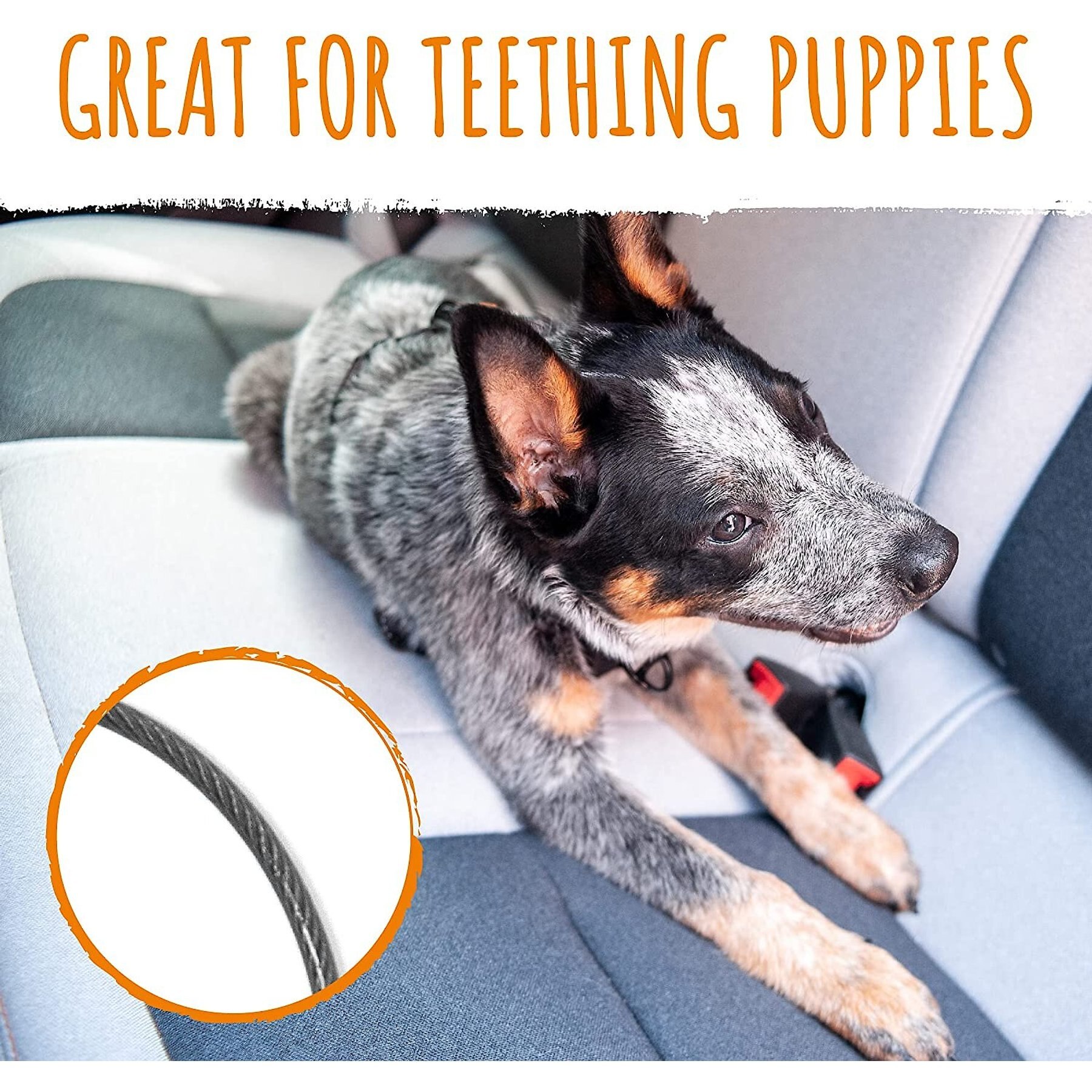 Mighty Paw Chew Proof Dog Car Safety Belt