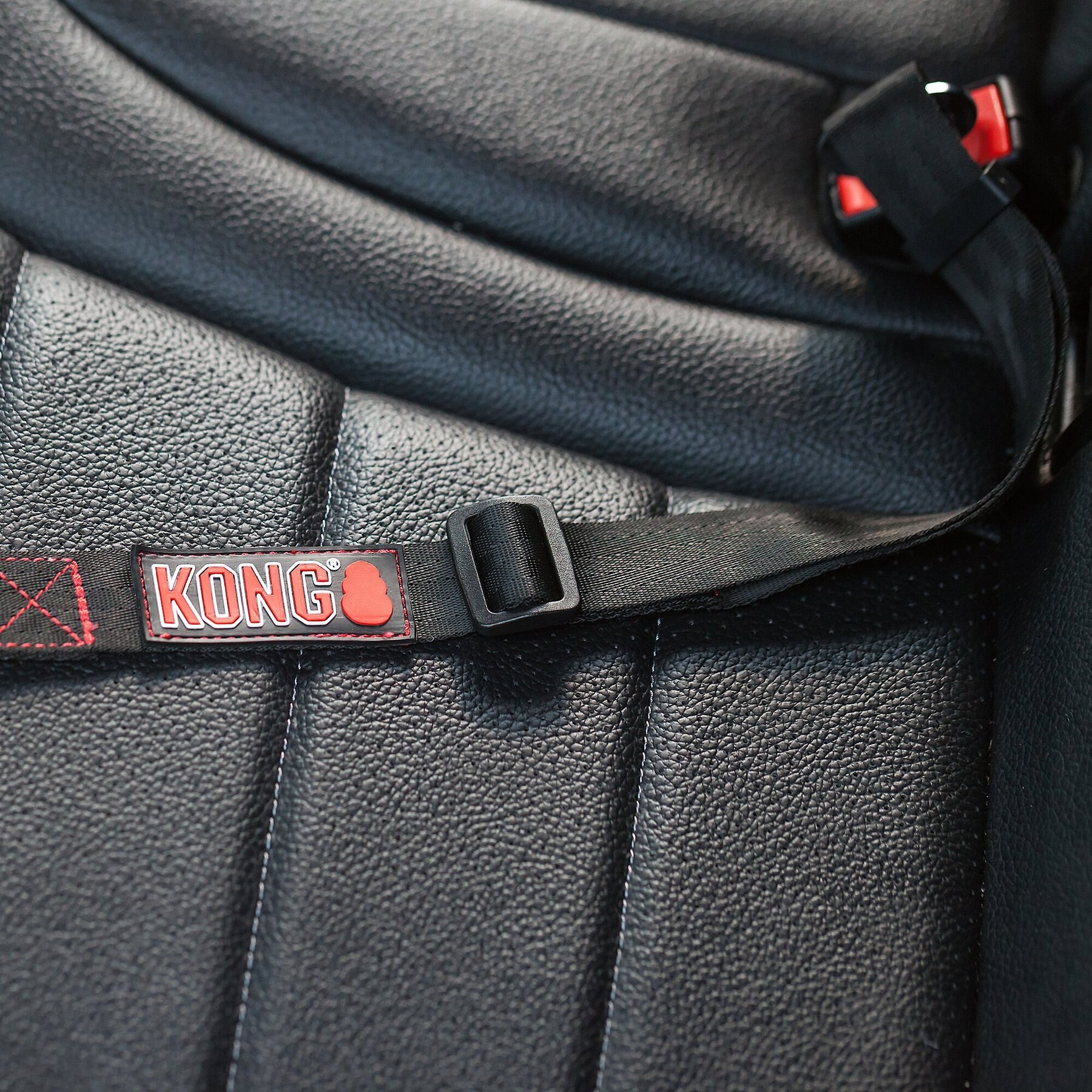 KONG Seat Belt Dog Tether