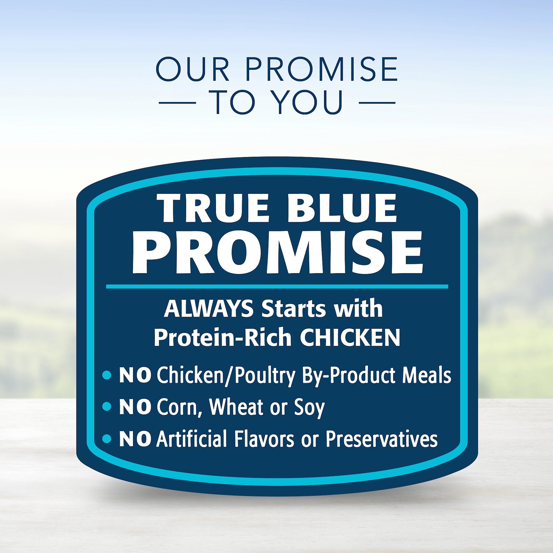 Blue Buffalo Family Favorite Grain-Free Recipes Sunday Chicken Dinner Canned Dog Food