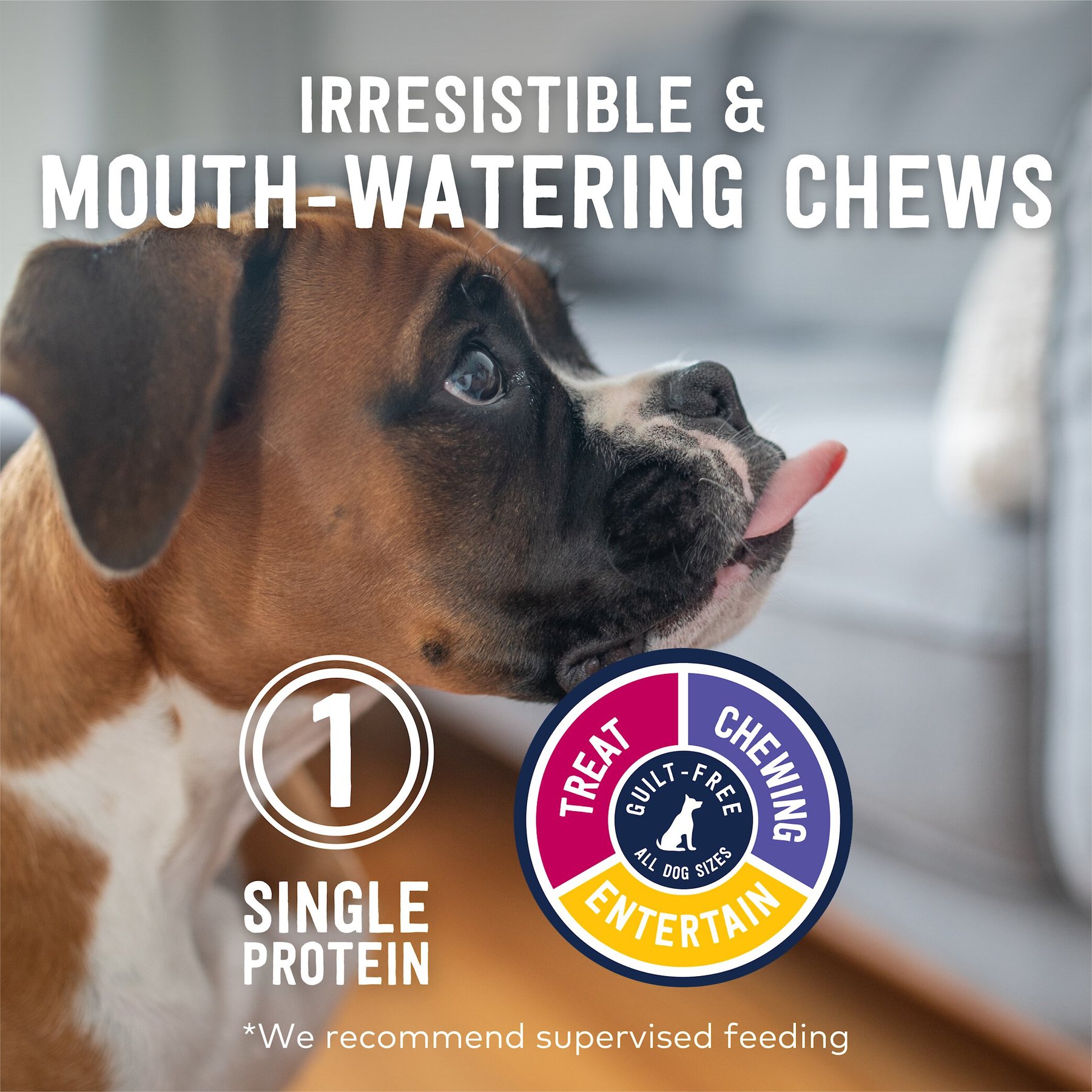 ZIWI Lamb Ears Liver Coated Dog Treats, 2.1-oz bag