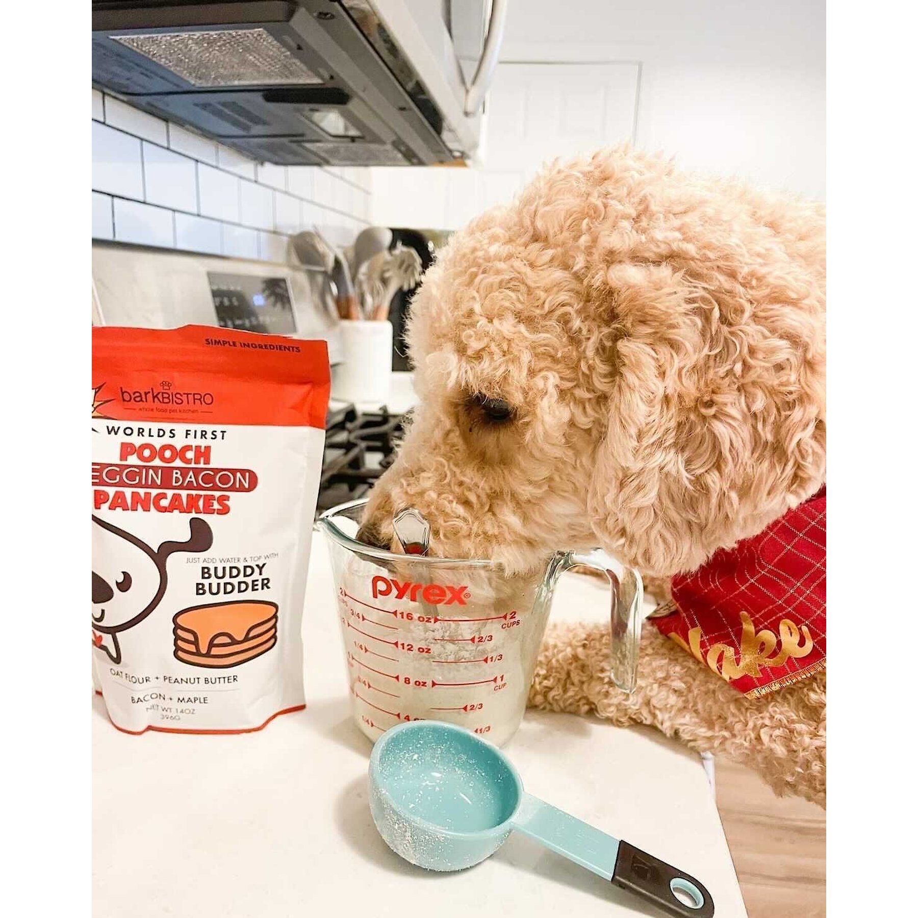 Bark Bistro Company Begging Bacon Pooch Pancakes Mix Dog Soft & Chewy Treats, 14-oz pouch