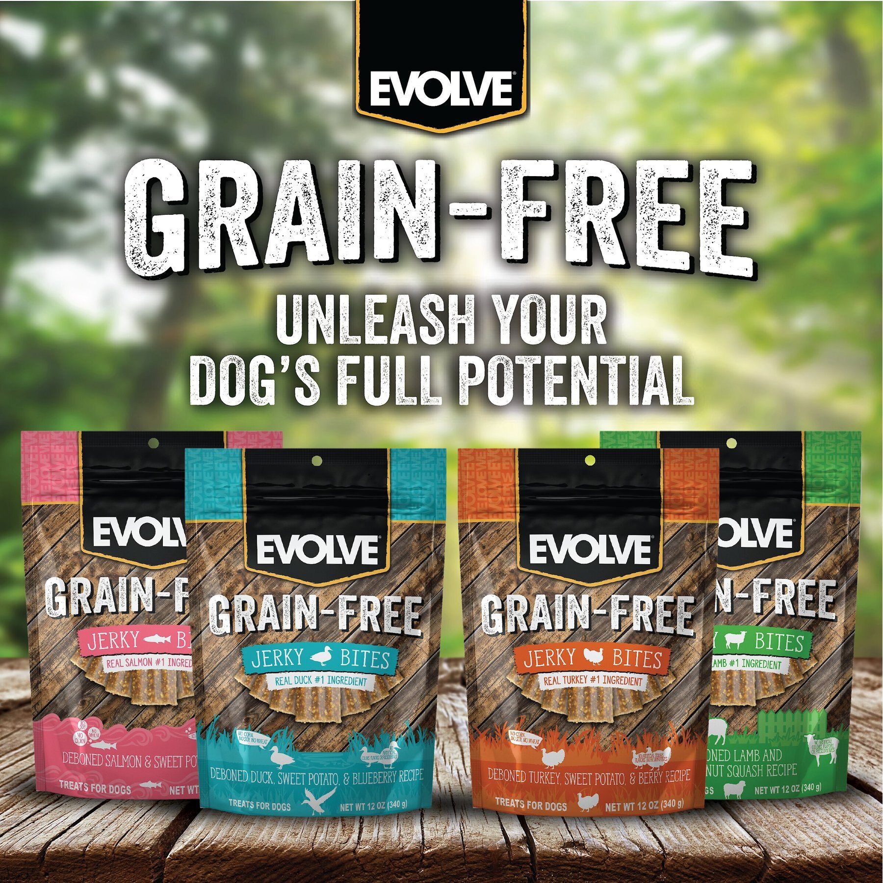 Evolve Turkey, Pea & Berry Recipe Jerky Bites Grain-Free Dog Treats