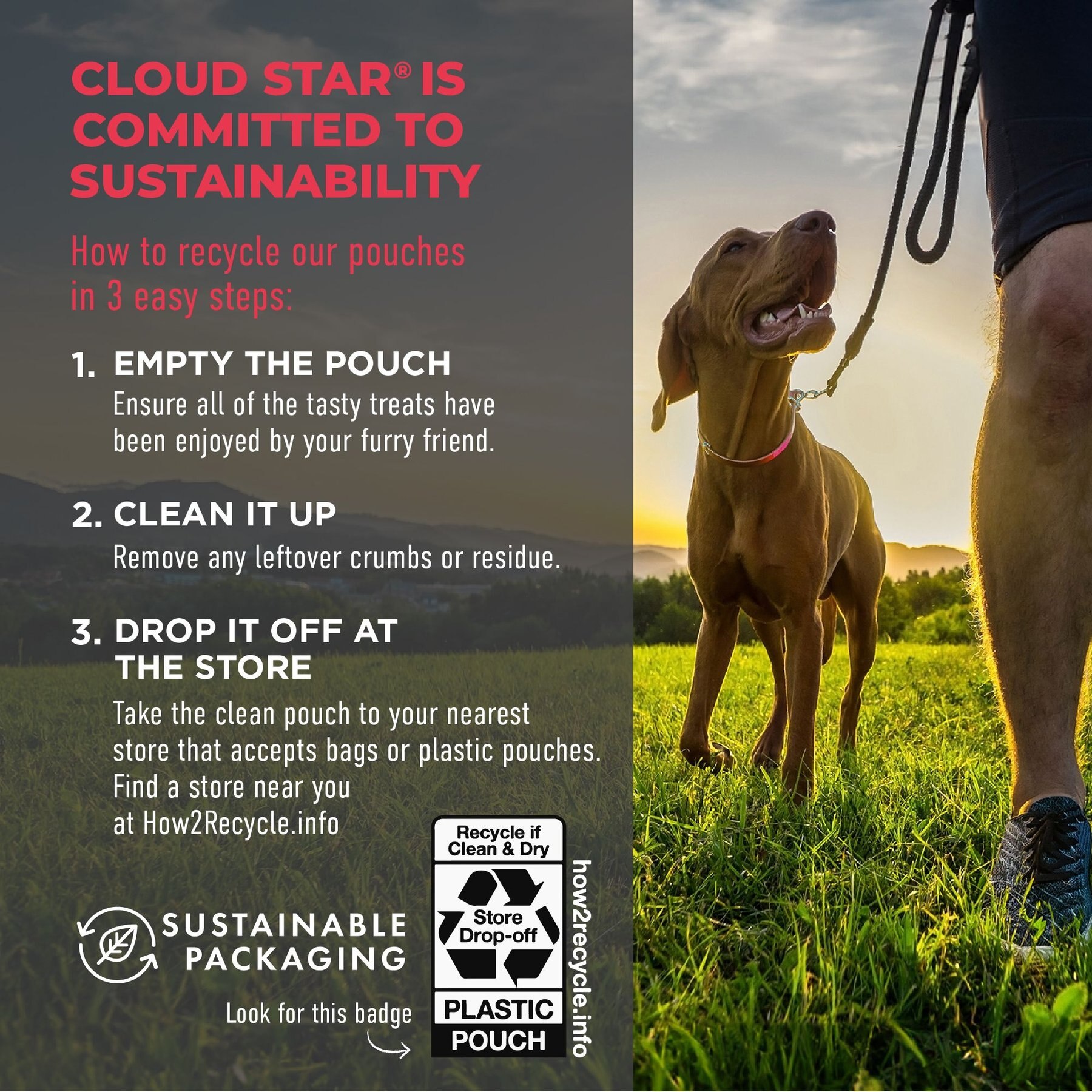 Cloud Star Wag More Bark Less Italian Beef Recipe Meatballs Grain-Free Dog Treats