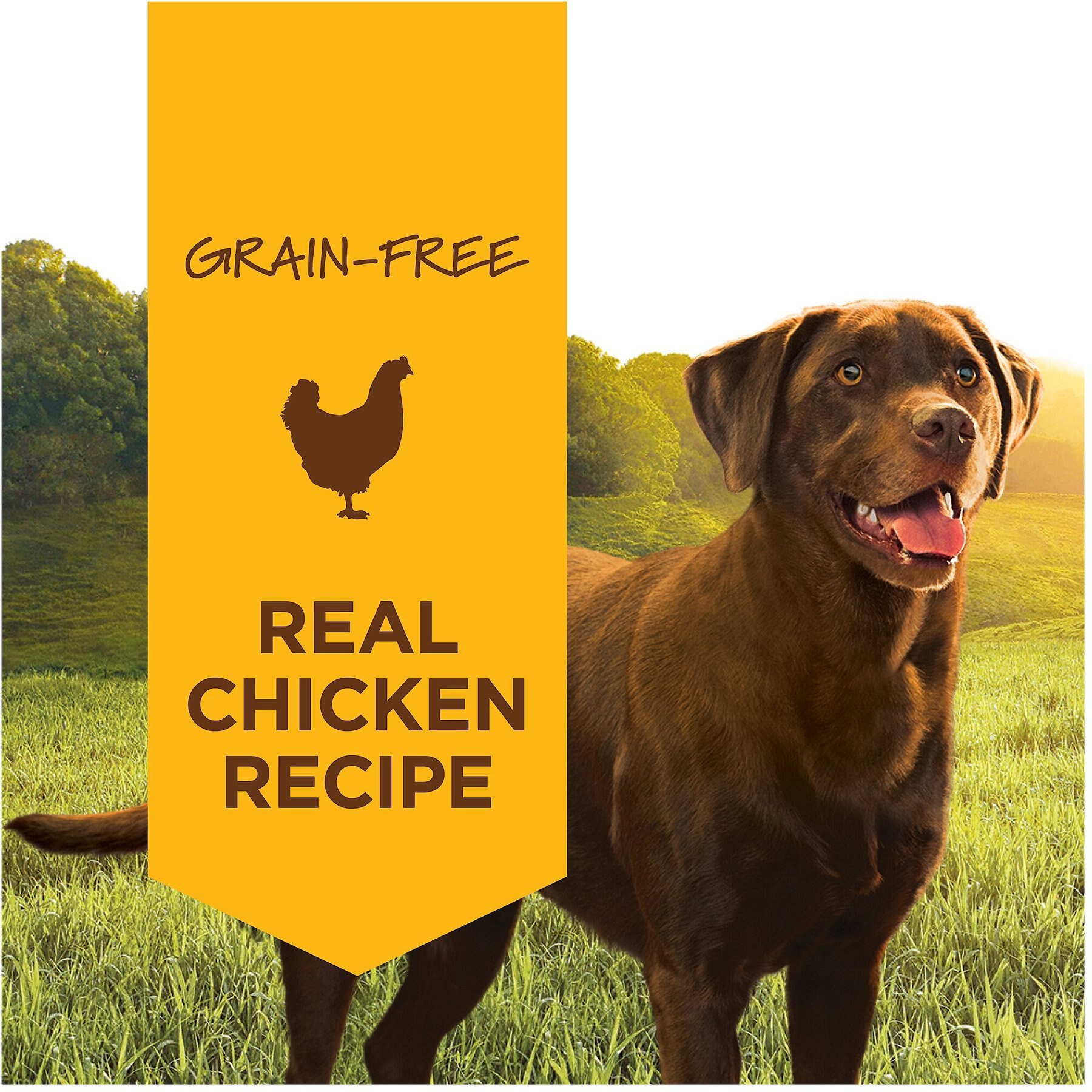 Instinct Original Adult Grain-Free Real Chicken Recipe Wet Dog Food