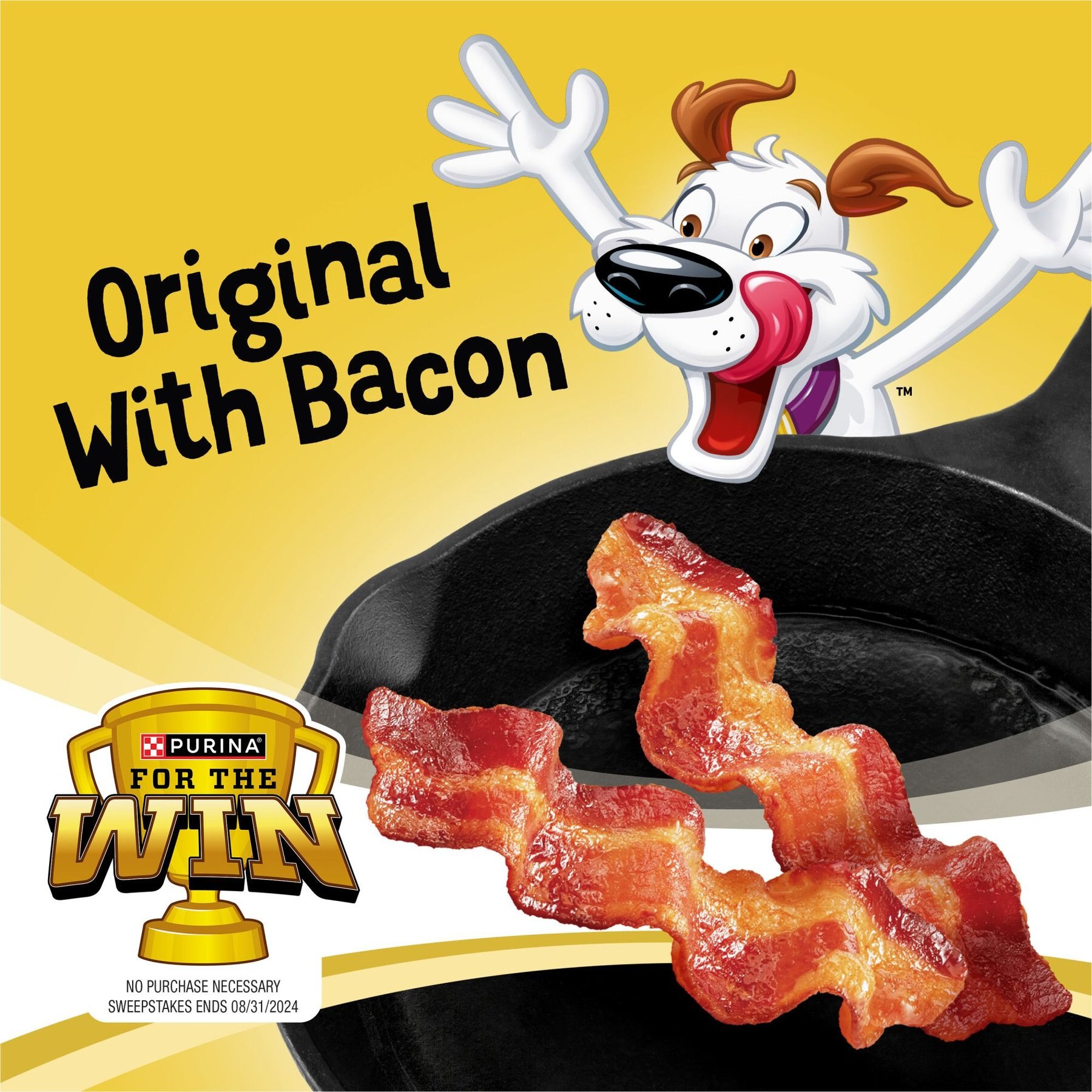 Purina Beggin' Strips Original with Bacon Flavored Dog Treats