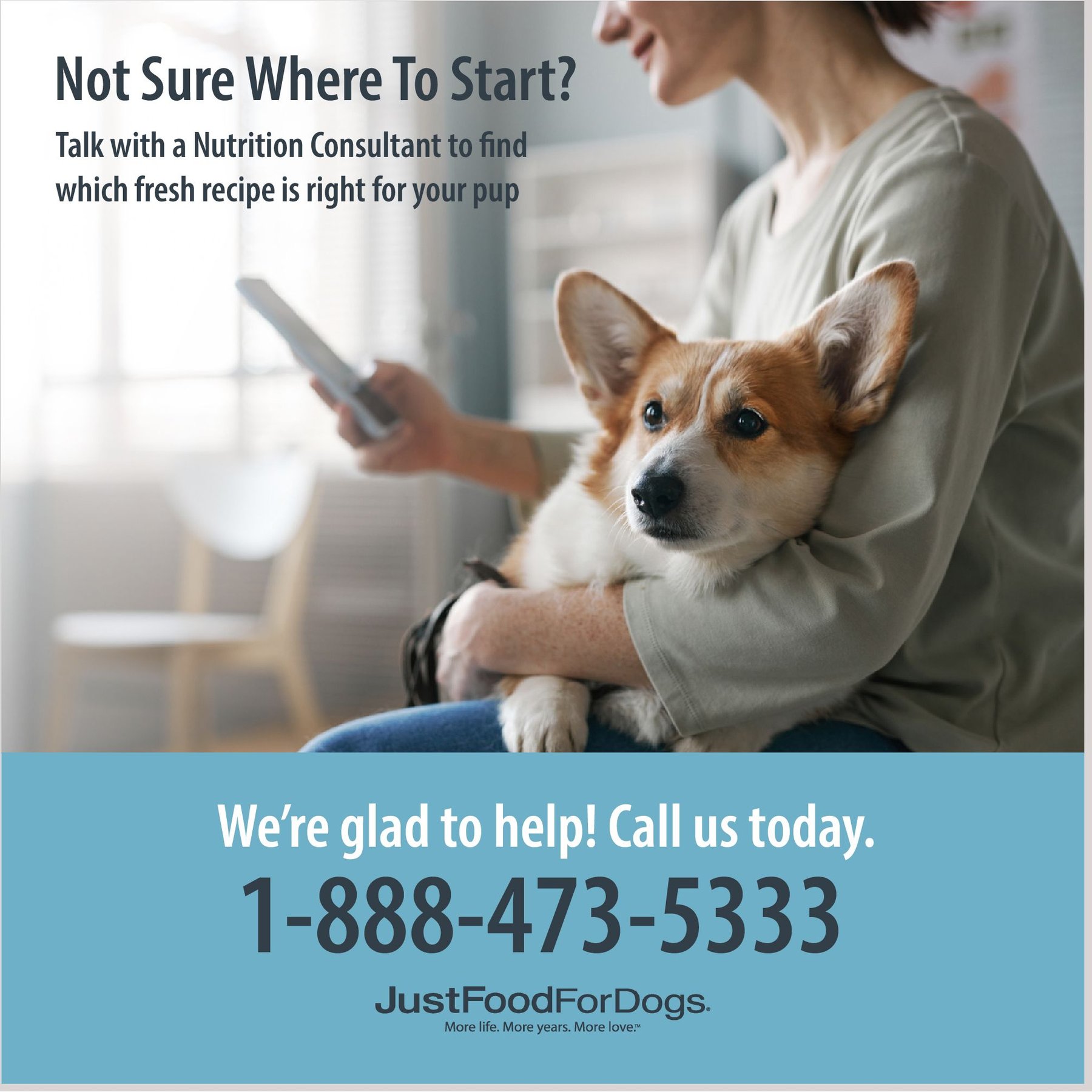 JustFoodForDogs Pantry Fresh Turkey & Whole Wheat Macaroni Fresh Dog Food