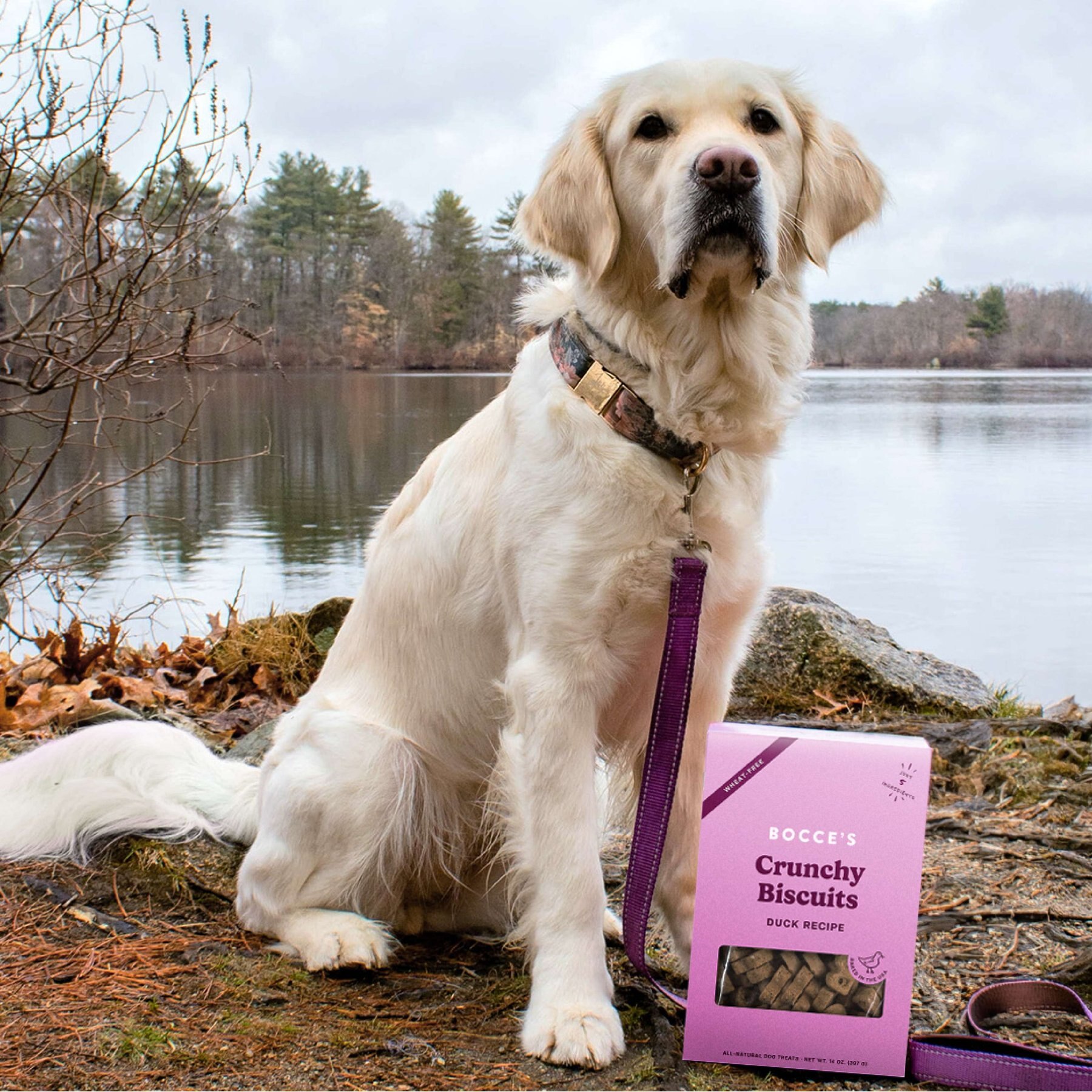 Bocce's Bakery Oven Baked Wheat-Free Duck Recipe Dog Treats