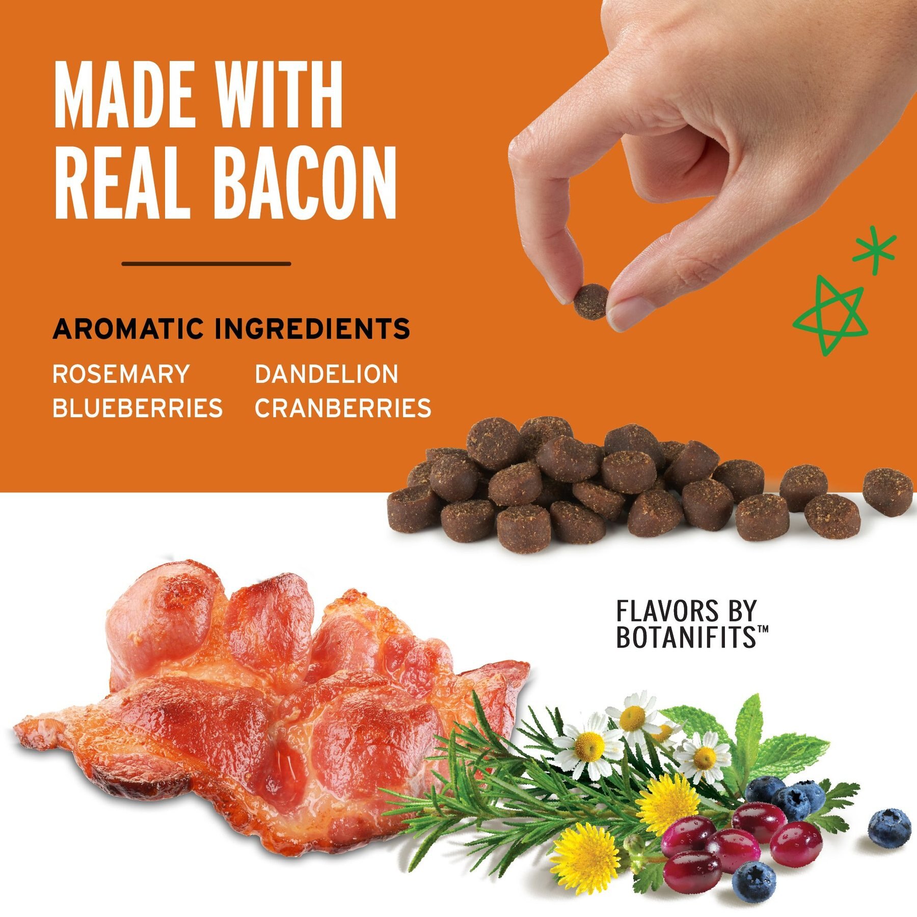 Pet Botanics Mini Training Reward Bacon Flavor Dog Treats