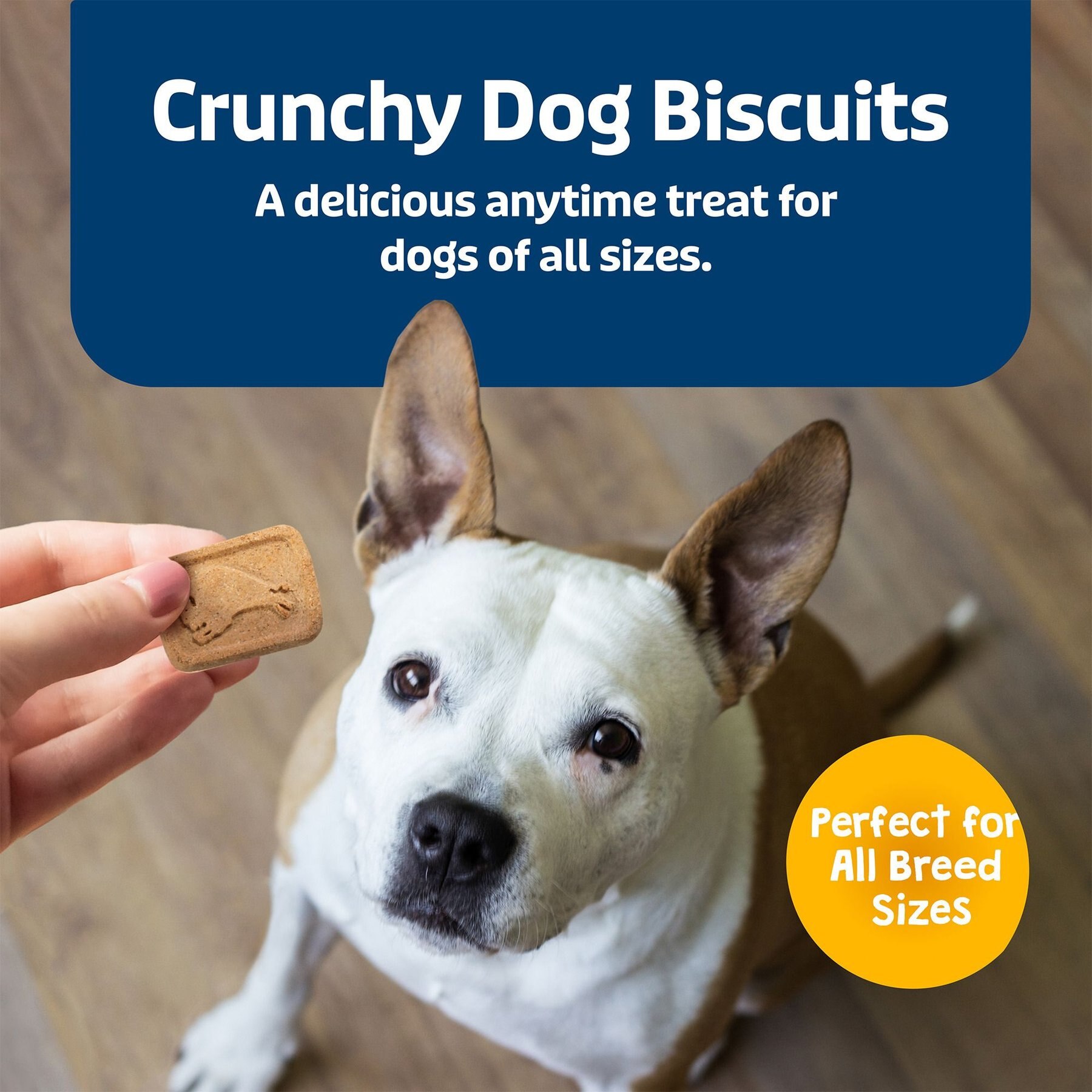 Blue Buffalo Health Bars Baked with Banana & Yogurt Dog Treats