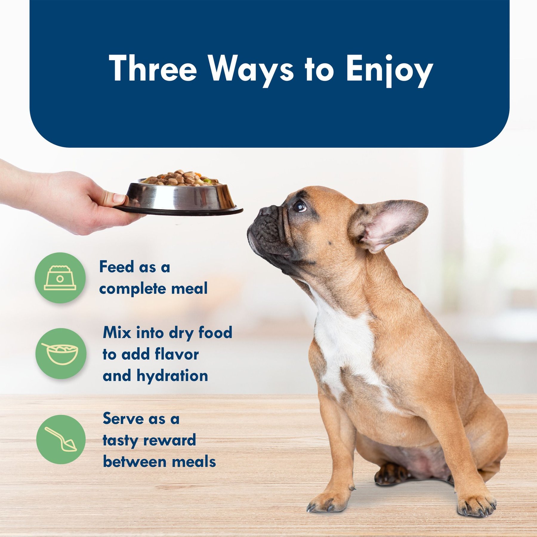 Blue Buffalo Divine Delights New York Strip Flavor Hearty Gravy Dog Food Trays