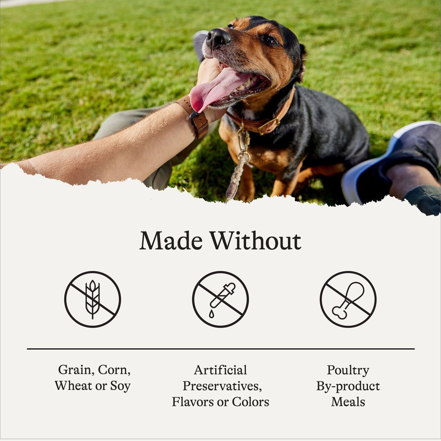 American Journey Stews Poultry & Beef Variety Pack Grain-Free Canned Dog Food