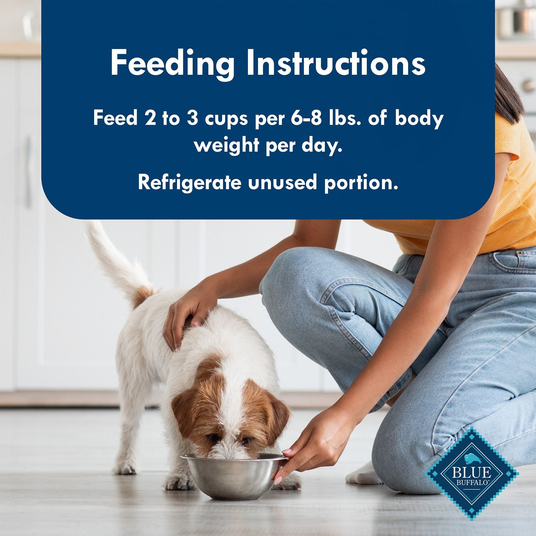 Blue Buffalo Divine Delights Rotisserie Chicken Flavor in Hearty Gravy Small Breed Wet Dog Food
