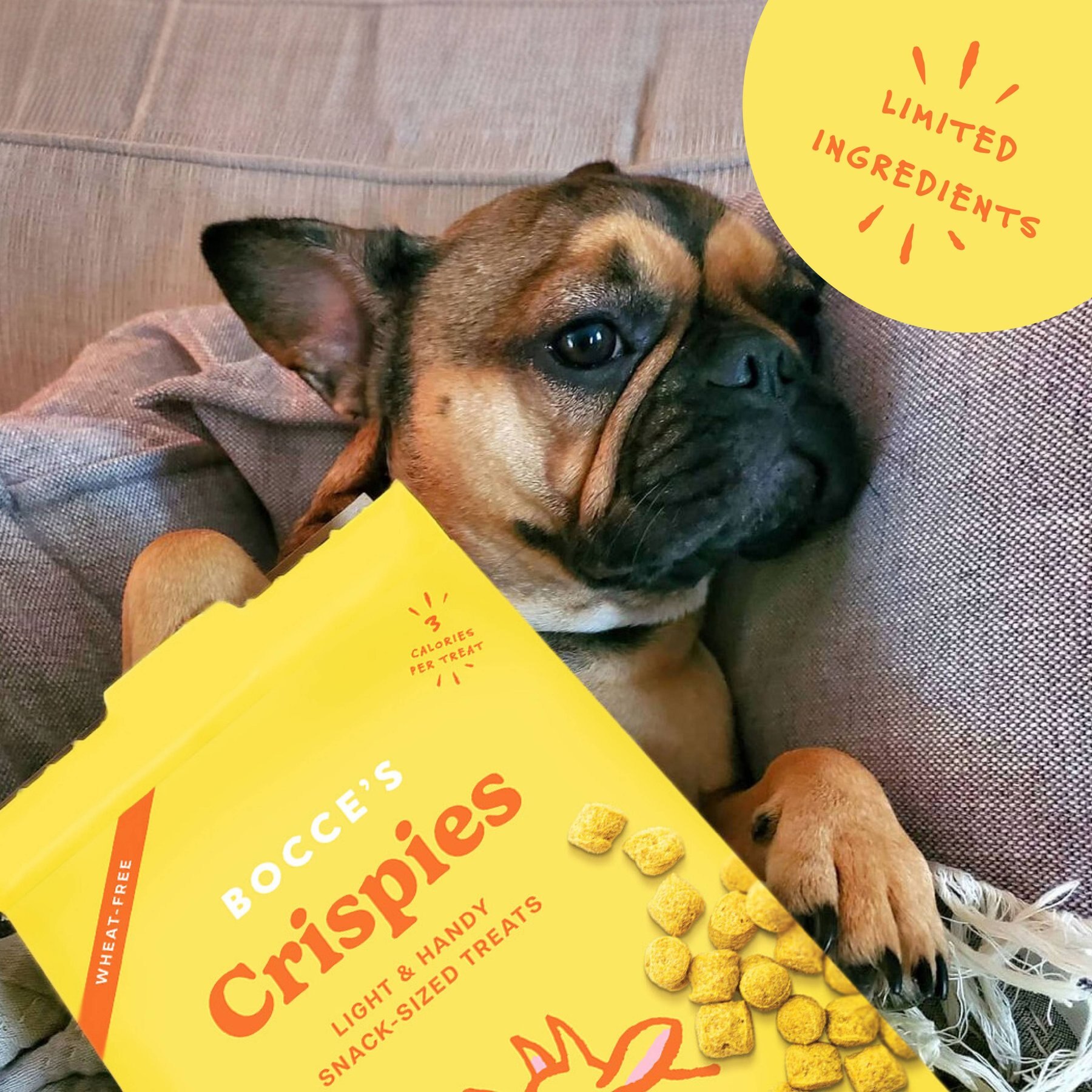 Bocce's Bakery Crispies Beef Liver & Cheese Recipe Dog Treats, 10-oz box