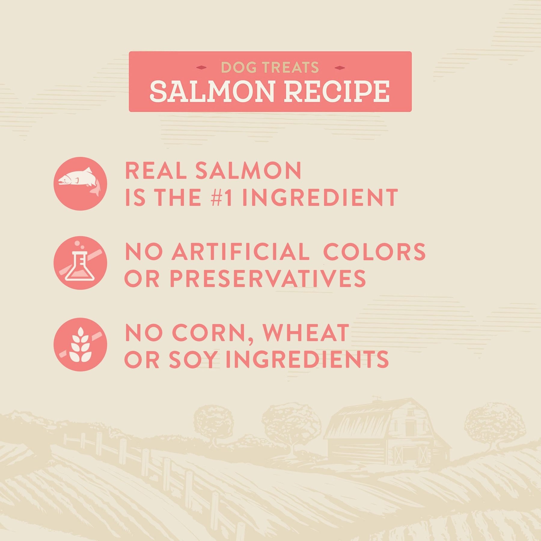 True Acre Foods Salmon Recipe Mini-Training Rewards Grain-Free Soft & Chewy Dog Treats